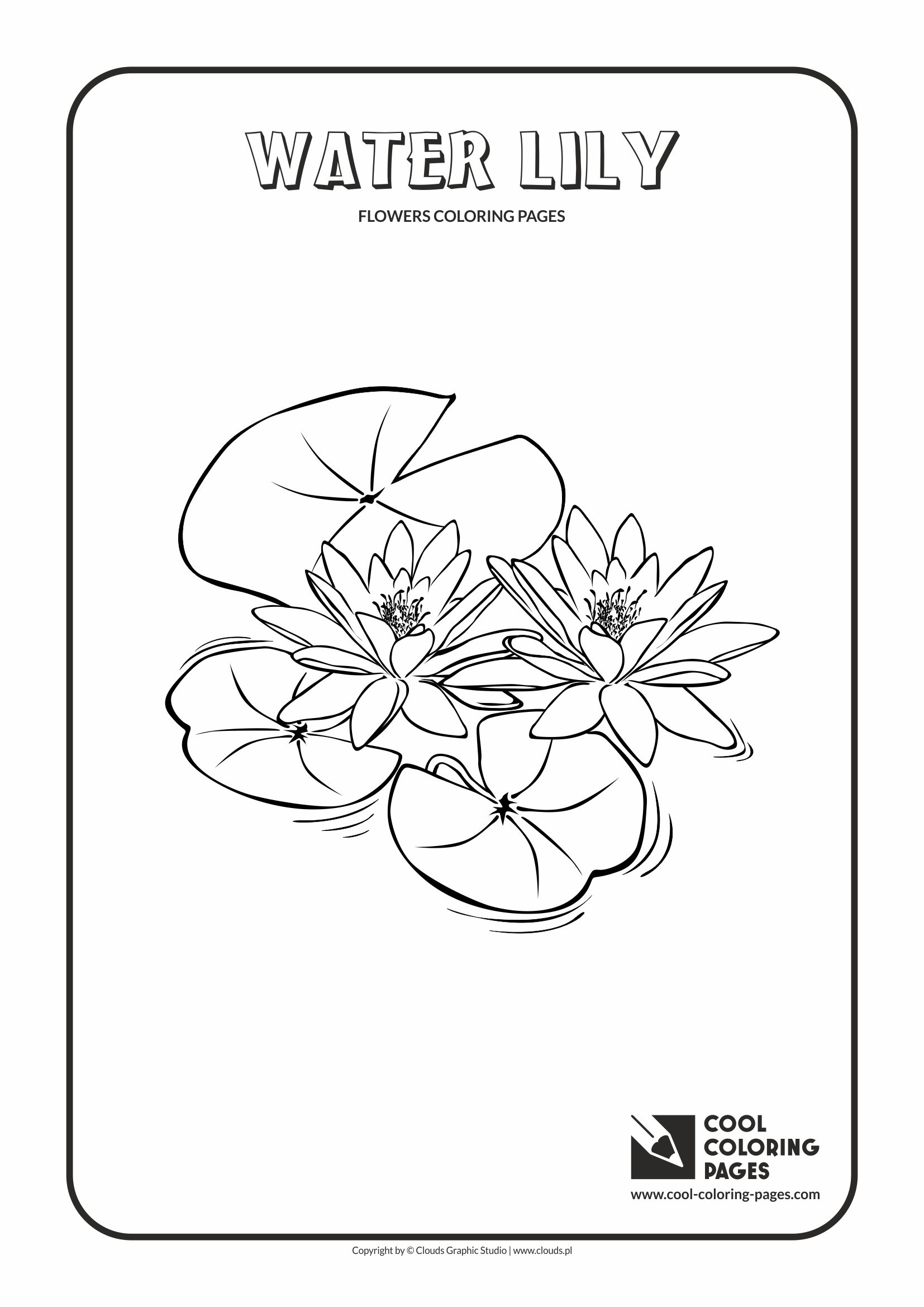 cool flowers coloring pages - photo #17