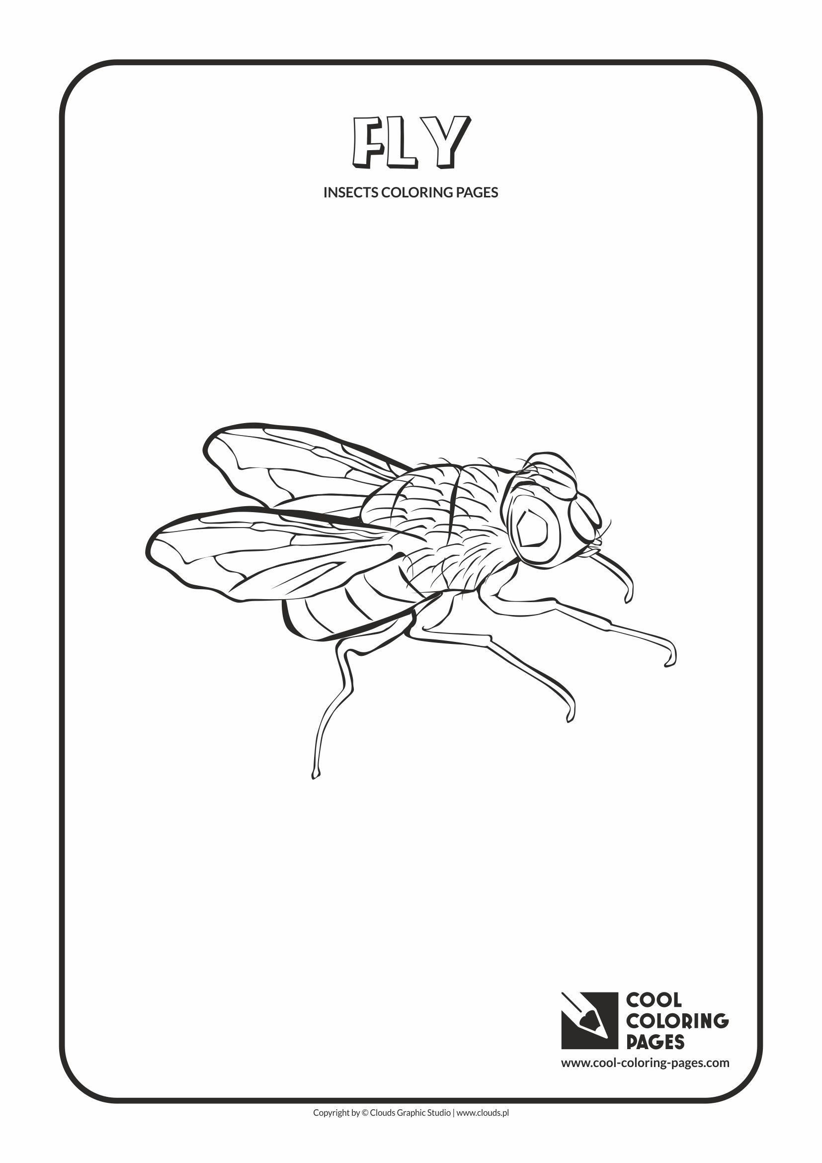 Cool Coloring Pages Fly coloring page - Cool Coloring Pages | Free