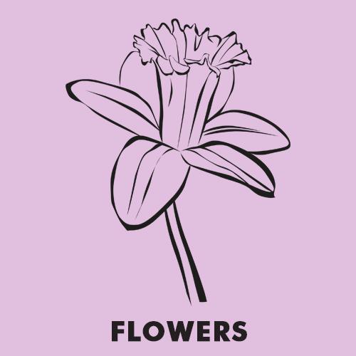 Educational coloring pages - Flowers