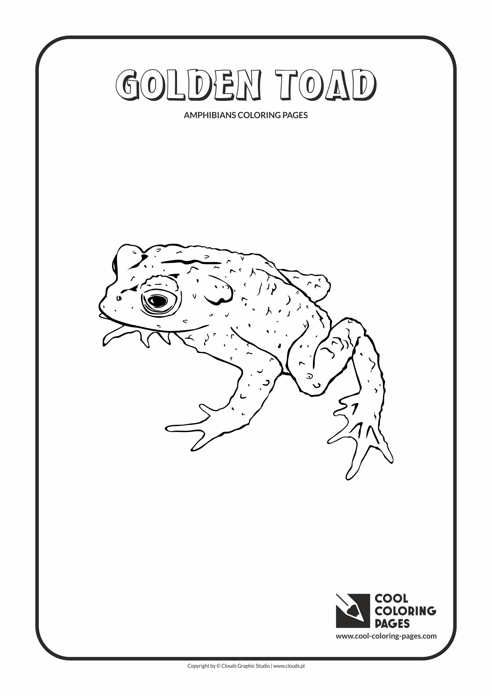 Cool Coloring Pages - Animals / Golden toad / Coloring page with golden toad