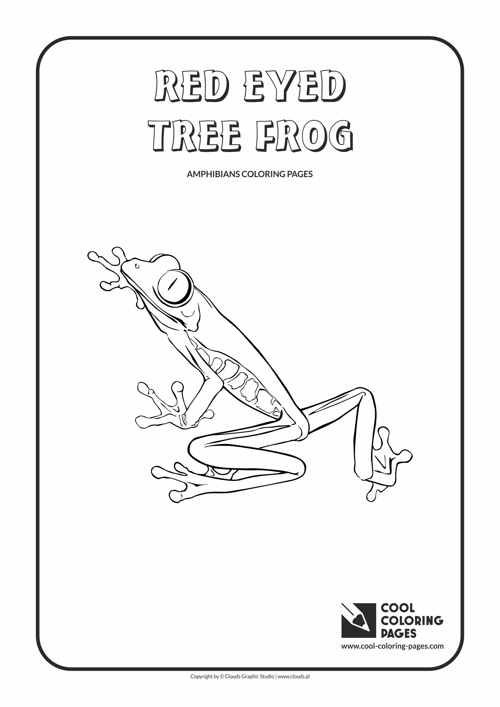 Cool Coloring Pages - Animals / Red eyed tree frog / Coloring page with red eyed tree frog