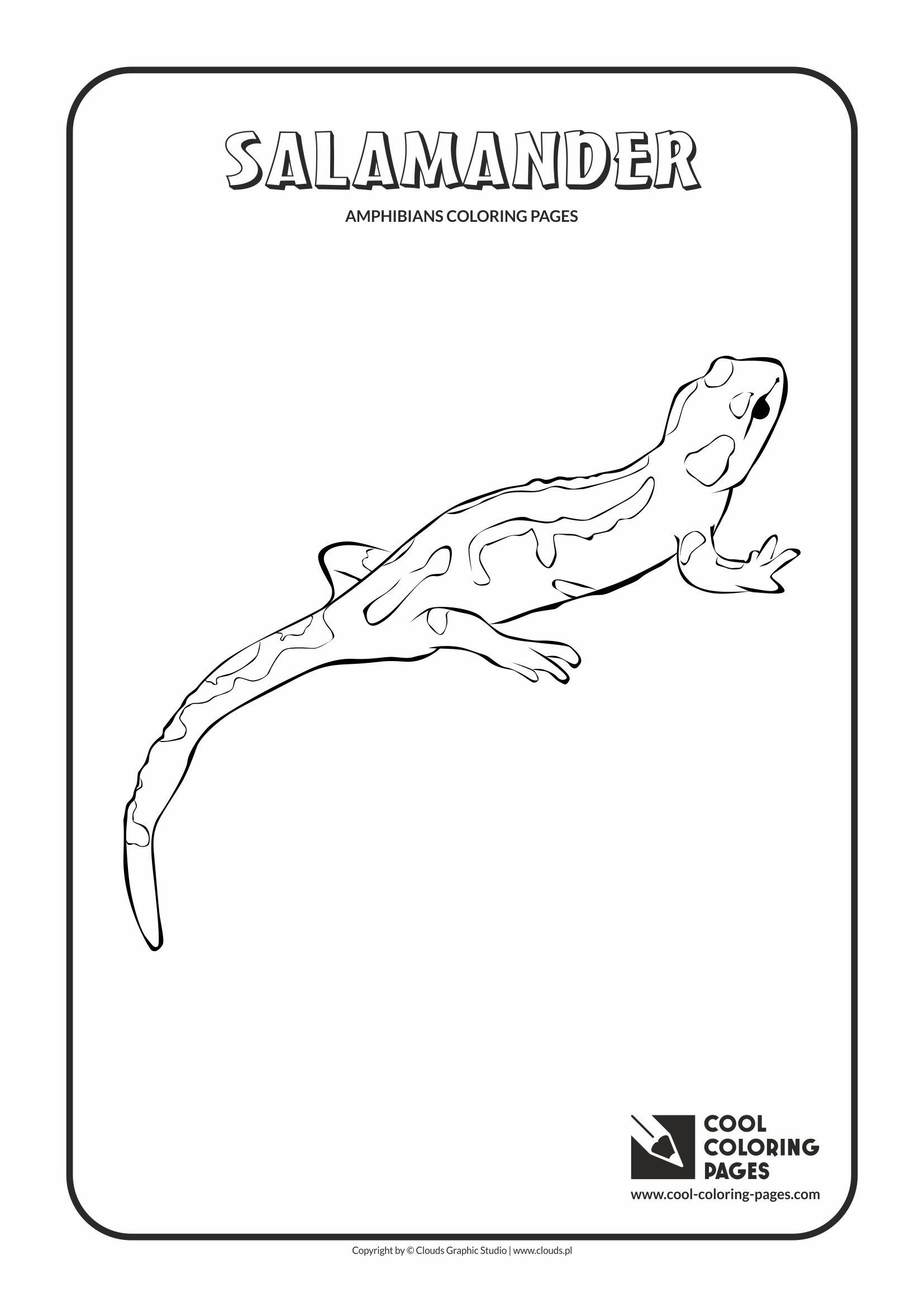 Cool Coloring Pages - Animals / Salamander / Coloring page with salamander
