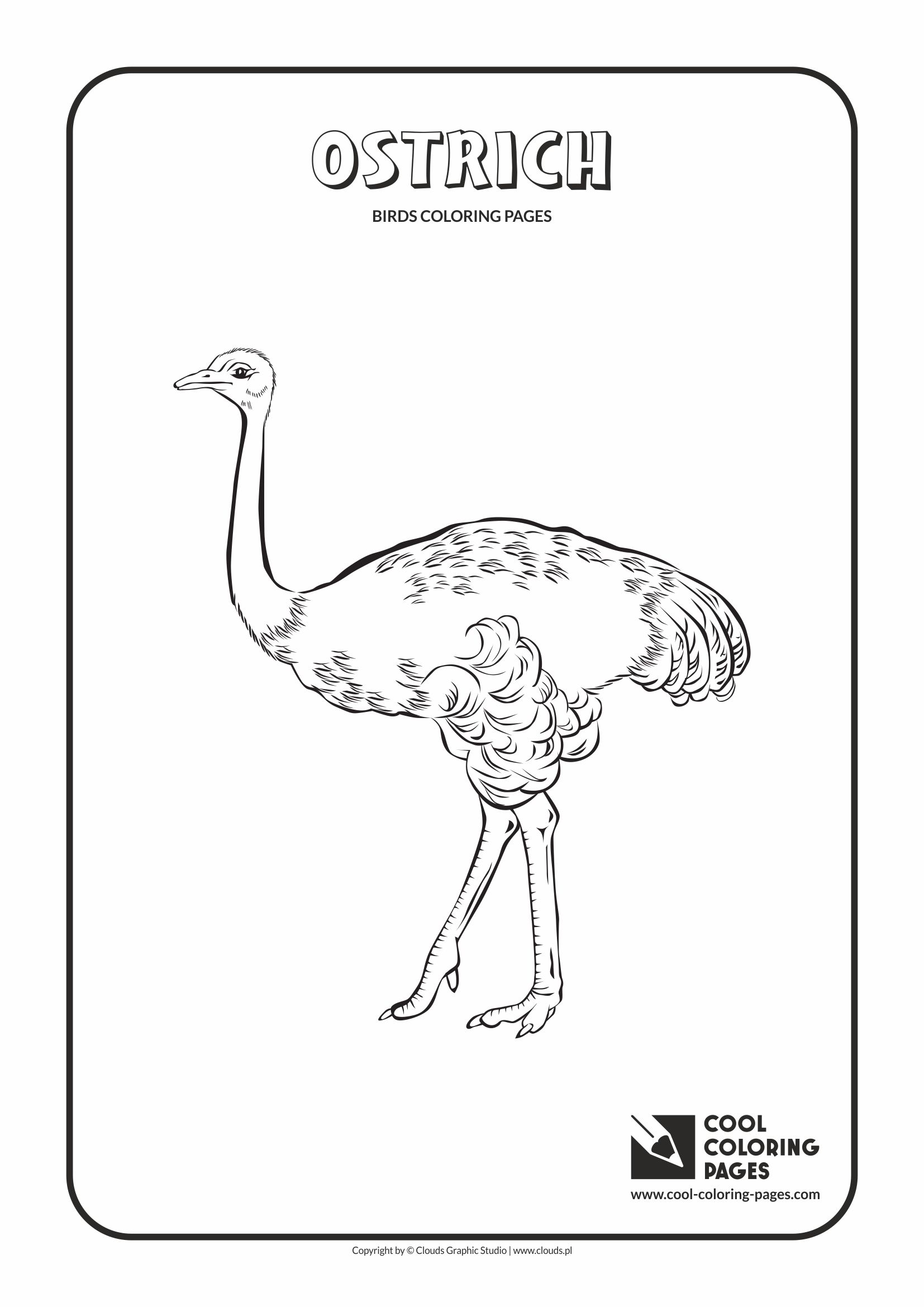 Cool Coloring Pages - Animals / Ostrich / Coloring page with ostrich
