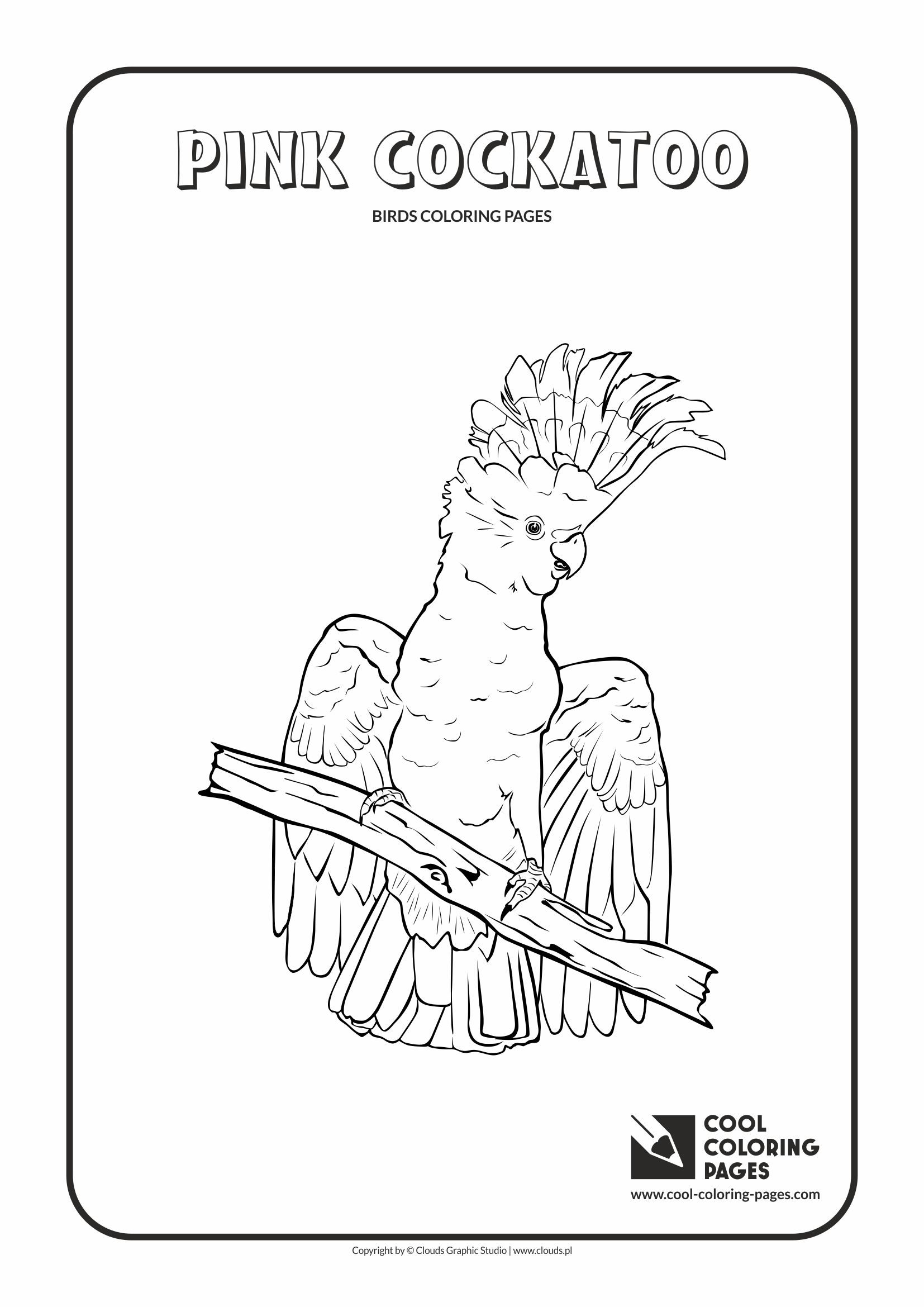 Cool Coloring Pages - Animals / Pink cockatoo / Coloring page with pink cockatoo
