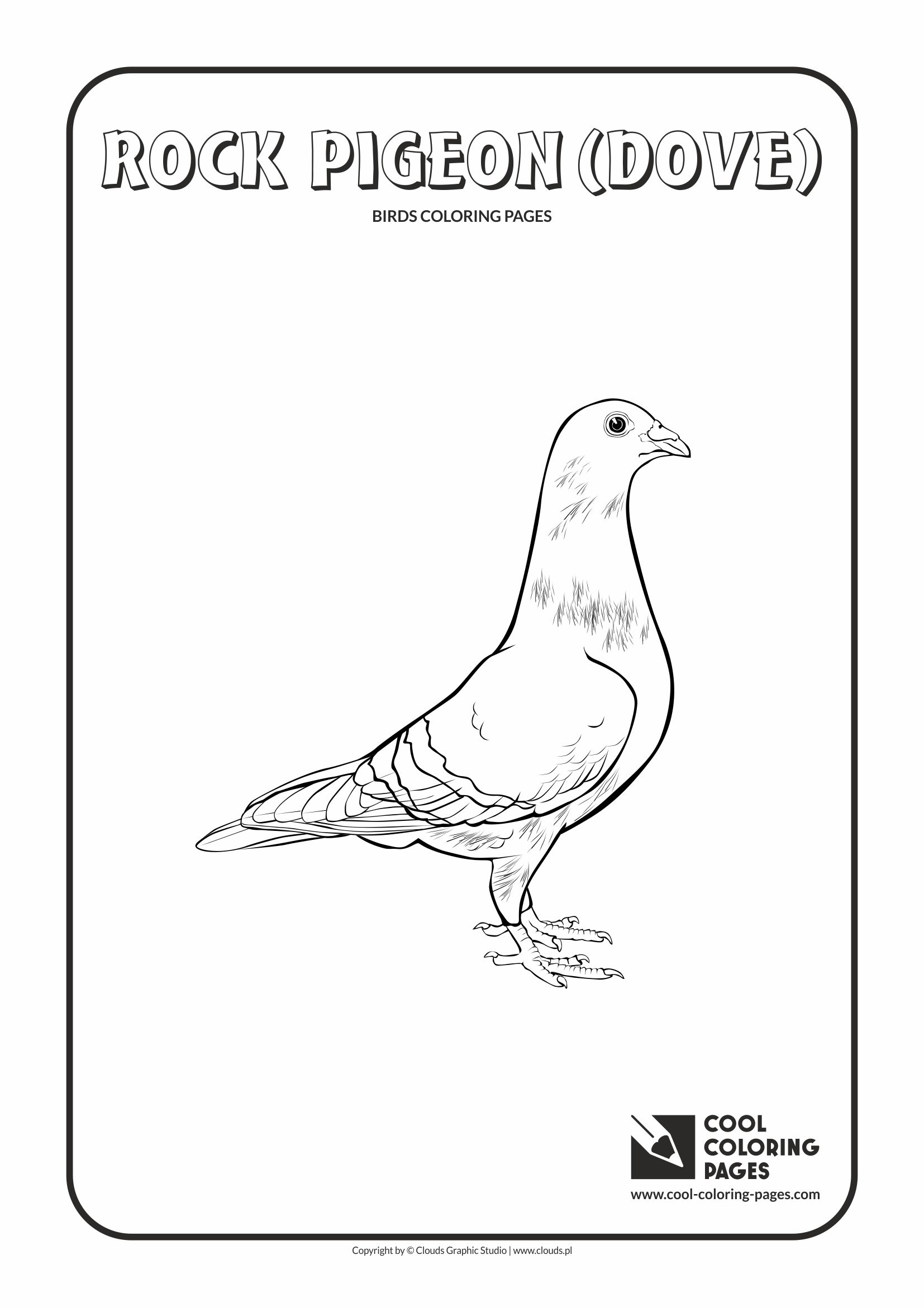 Cool Coloring Pages - Animals / Rock pigeon / Coloring page with rock pigeon