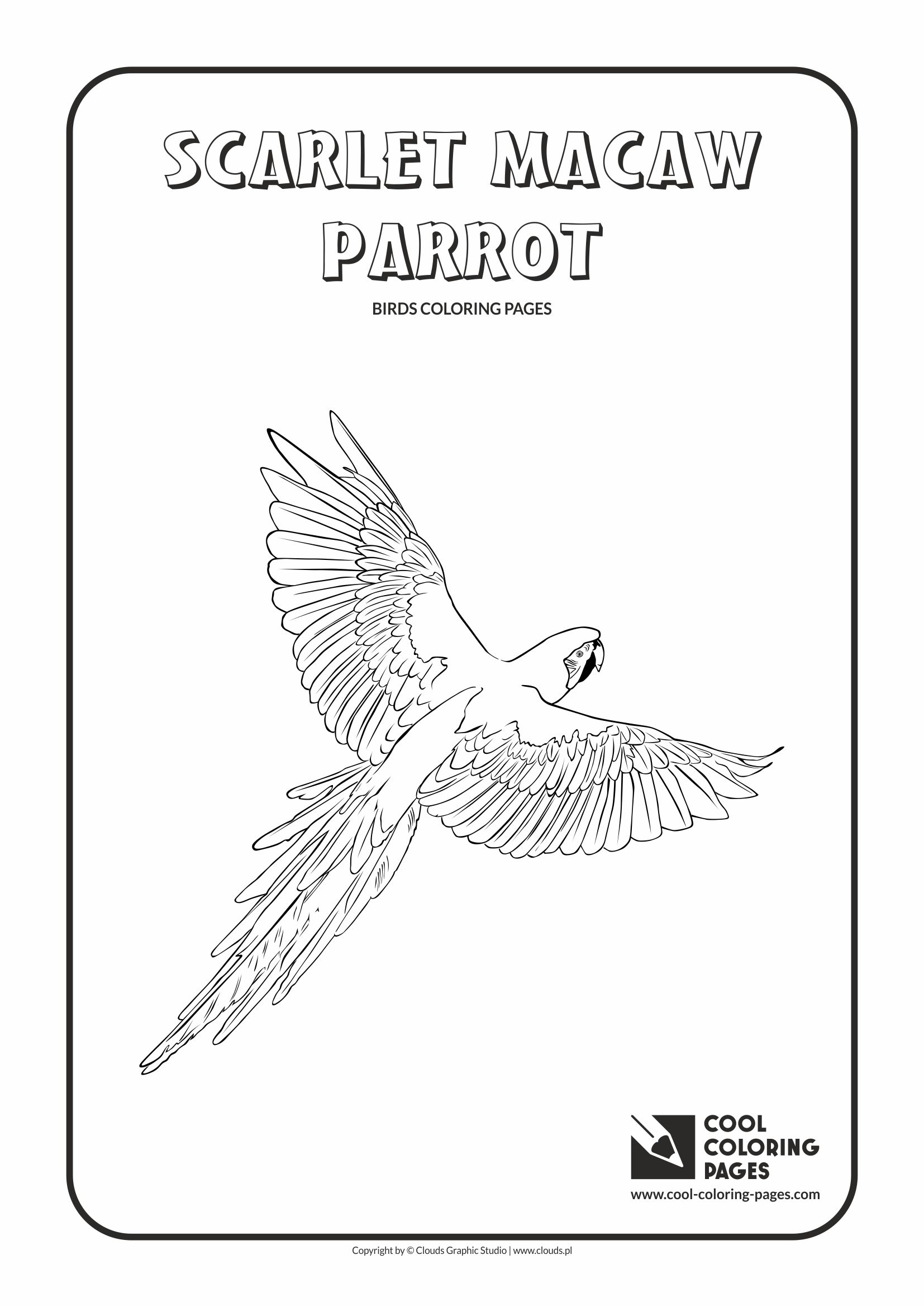 Cool Coloring Pages - Animals / Scarlet macaw parrot / Coloring page with scarlet macaw parrot