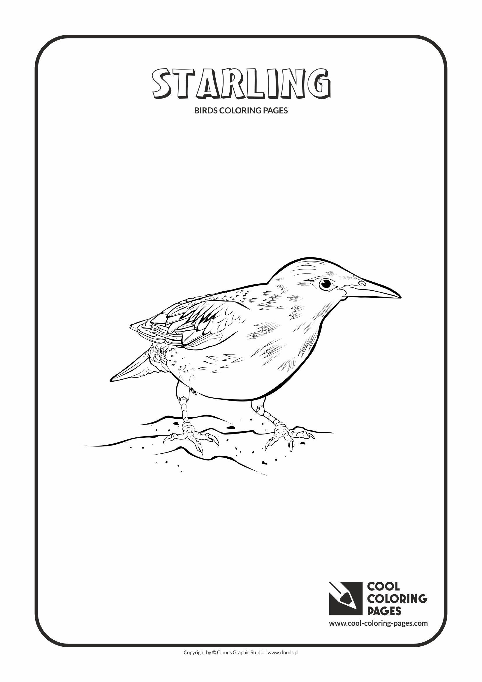 Cool Coloring Pages - Animals / Starling / Coloring page with starling