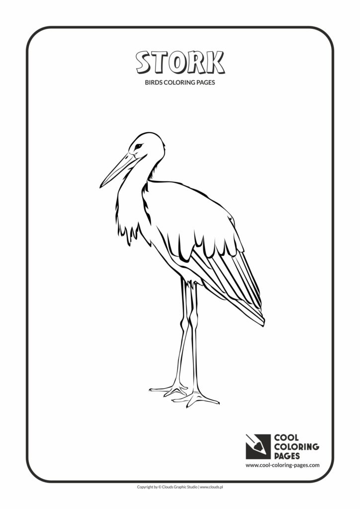 Cool Coloring Pages Stork Coloring Page Cool Coloring Pages Free 