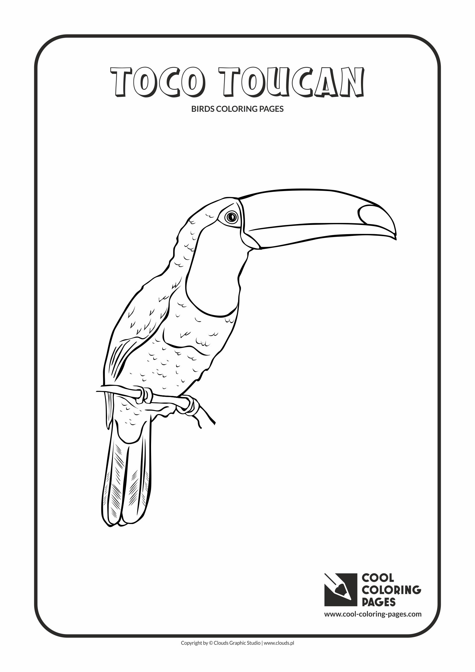 Cool Coloring Pages - Animals / Toco toucan / Coloring page with toco toucan