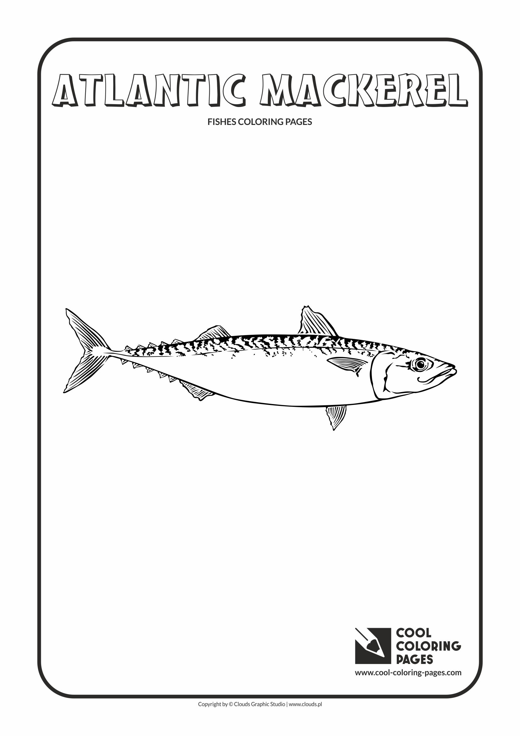 Cool Coloring Pages - Animals / Atlantic mackerel / Coloring page with atlantic mackerel