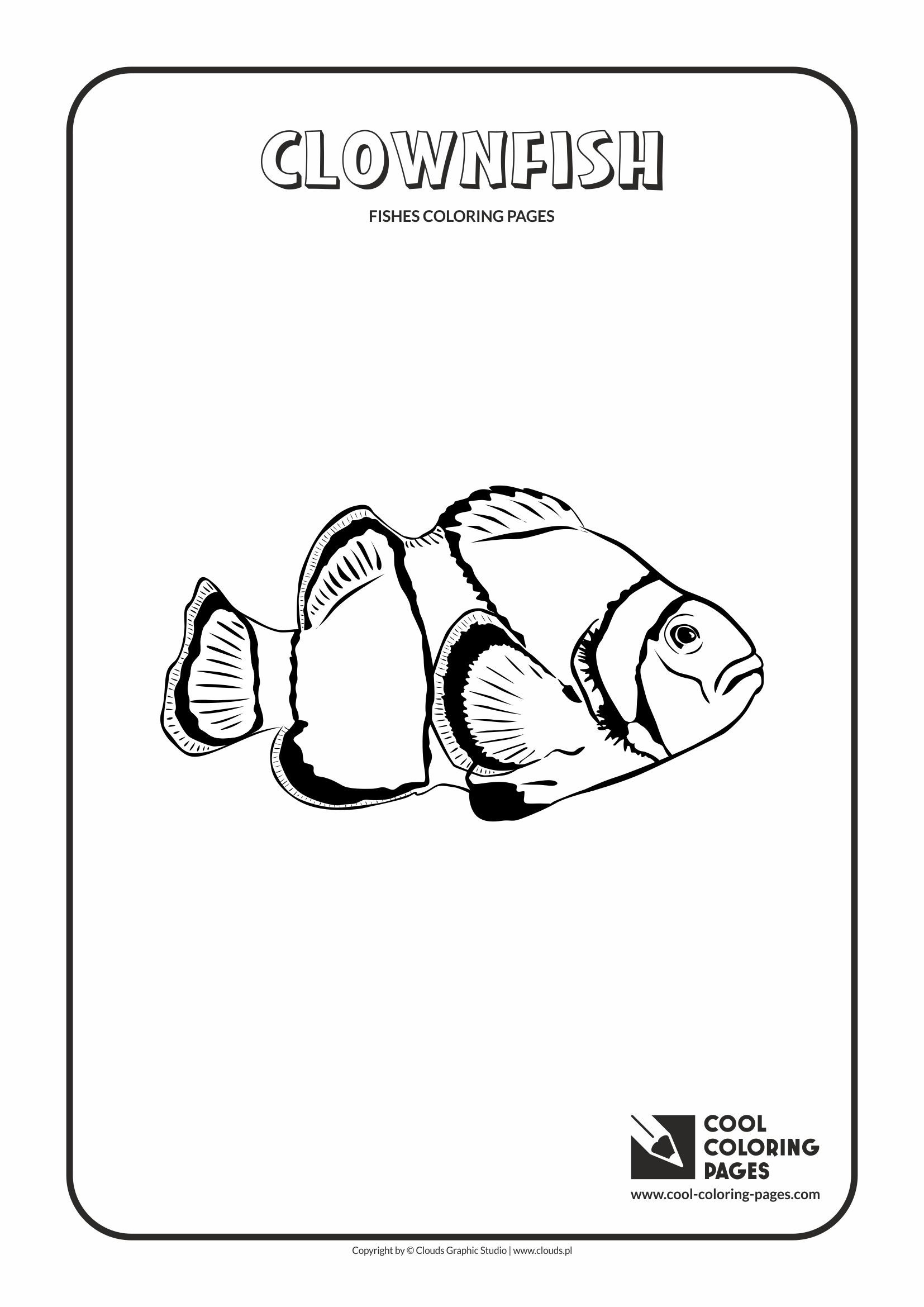 Cool Coloring Pages - Animals / Clownfish / Coloring page with clownfish