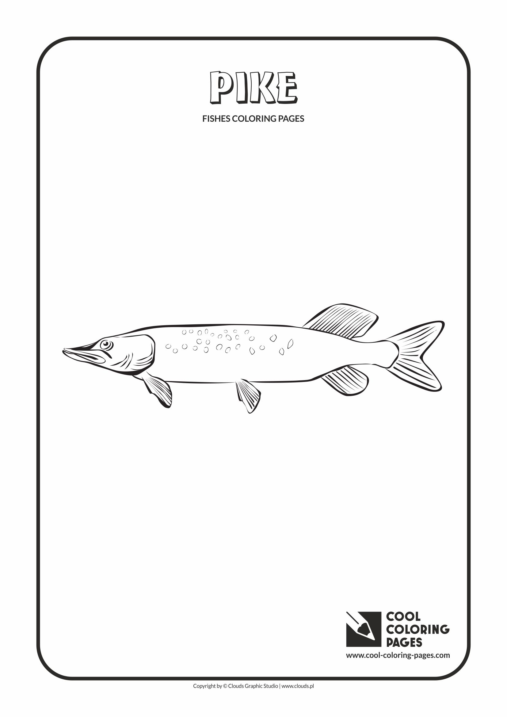 Cool Coloring Pages - Animals / Pike / Coloring page with pike