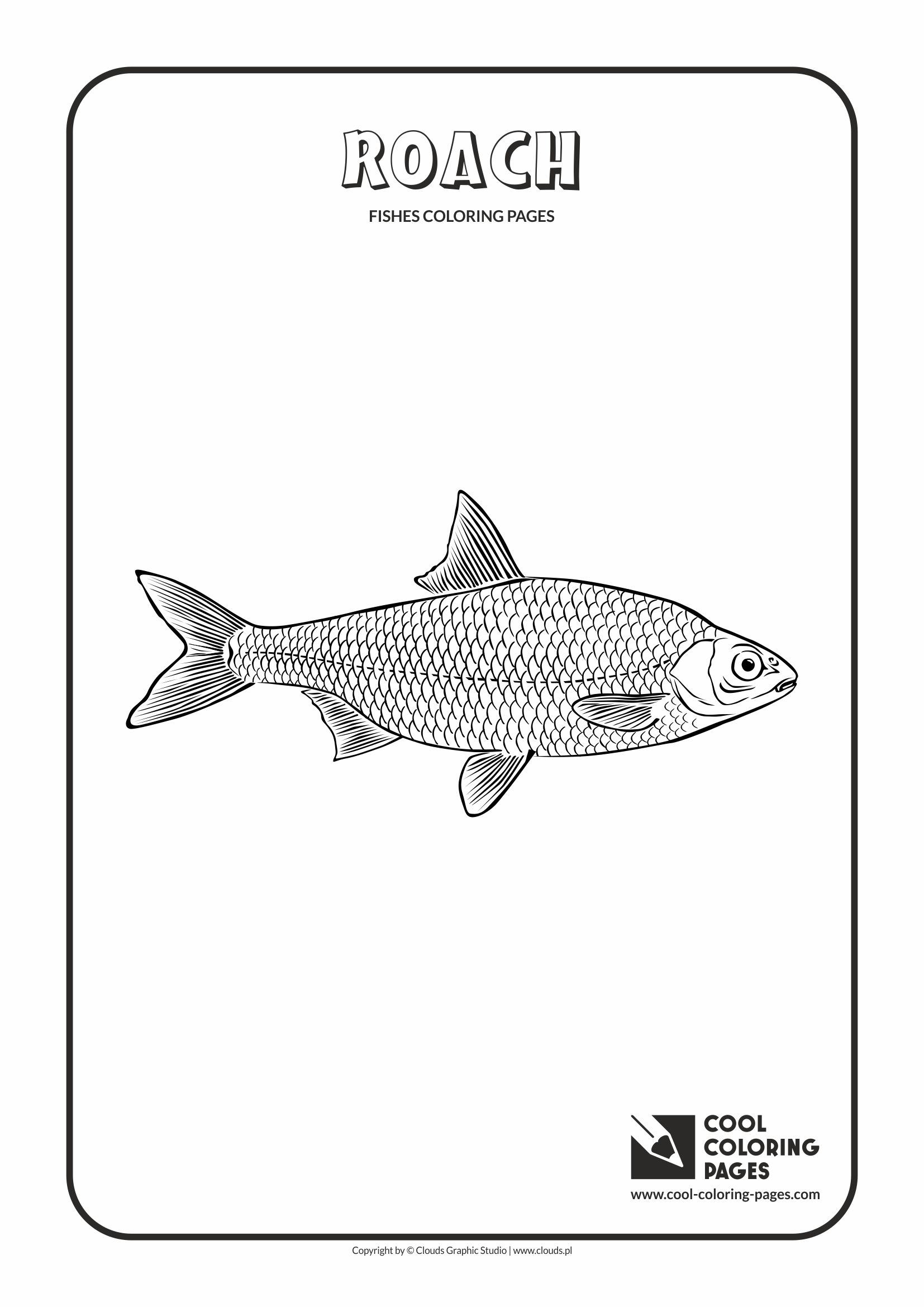 Cool Coloring Pages - Animals / Roach / Coloring page with roach