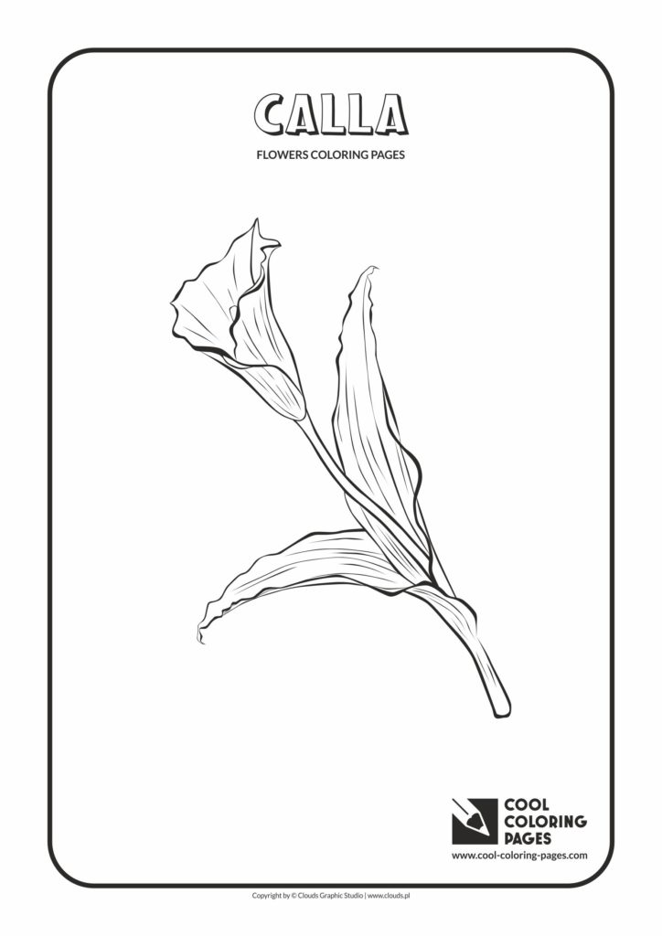 Cool Coloring Pages Calla coloring page - Cool Coloring Pages | Free ...