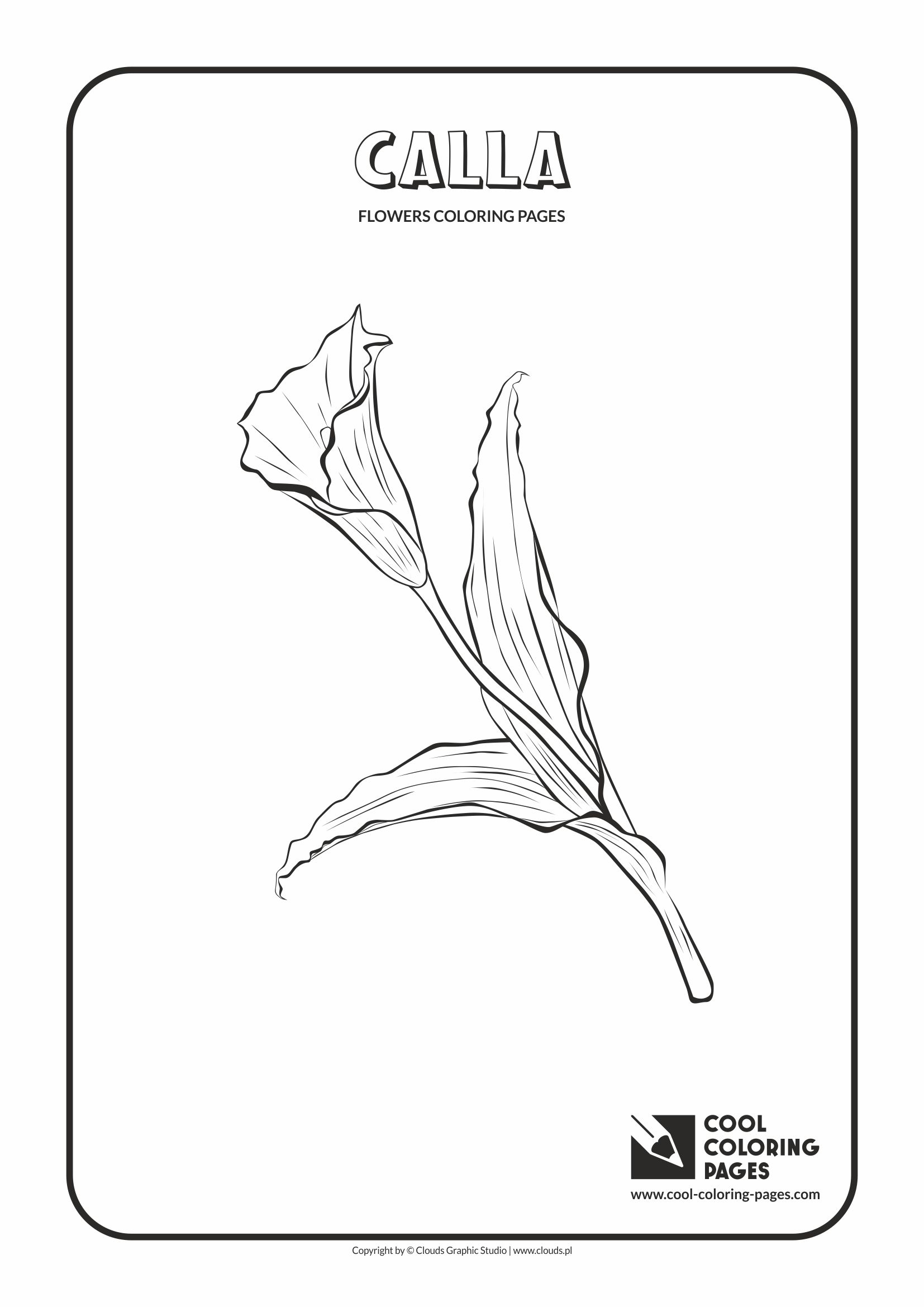 Cool Coloring Pages - Plants / Calla / Coloring page with calla