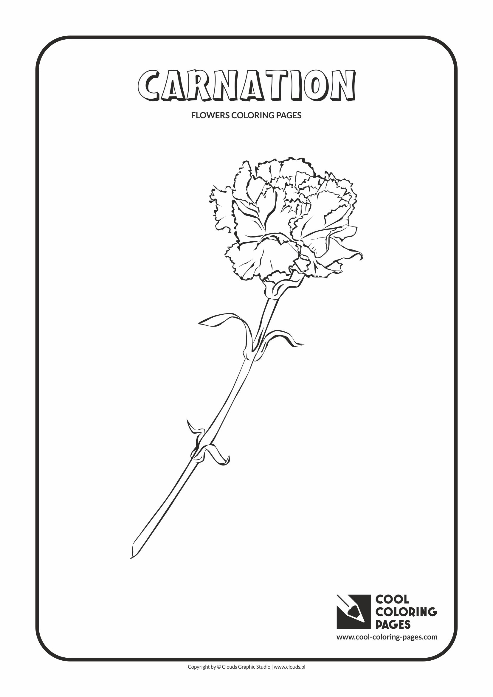 Cool Coloring Pages - Plants / Carnation / Coloring page with carnation