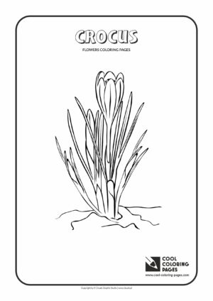 Cool Coloring Pages Crocus coloring page - Cool Coloring Pages | Free ...