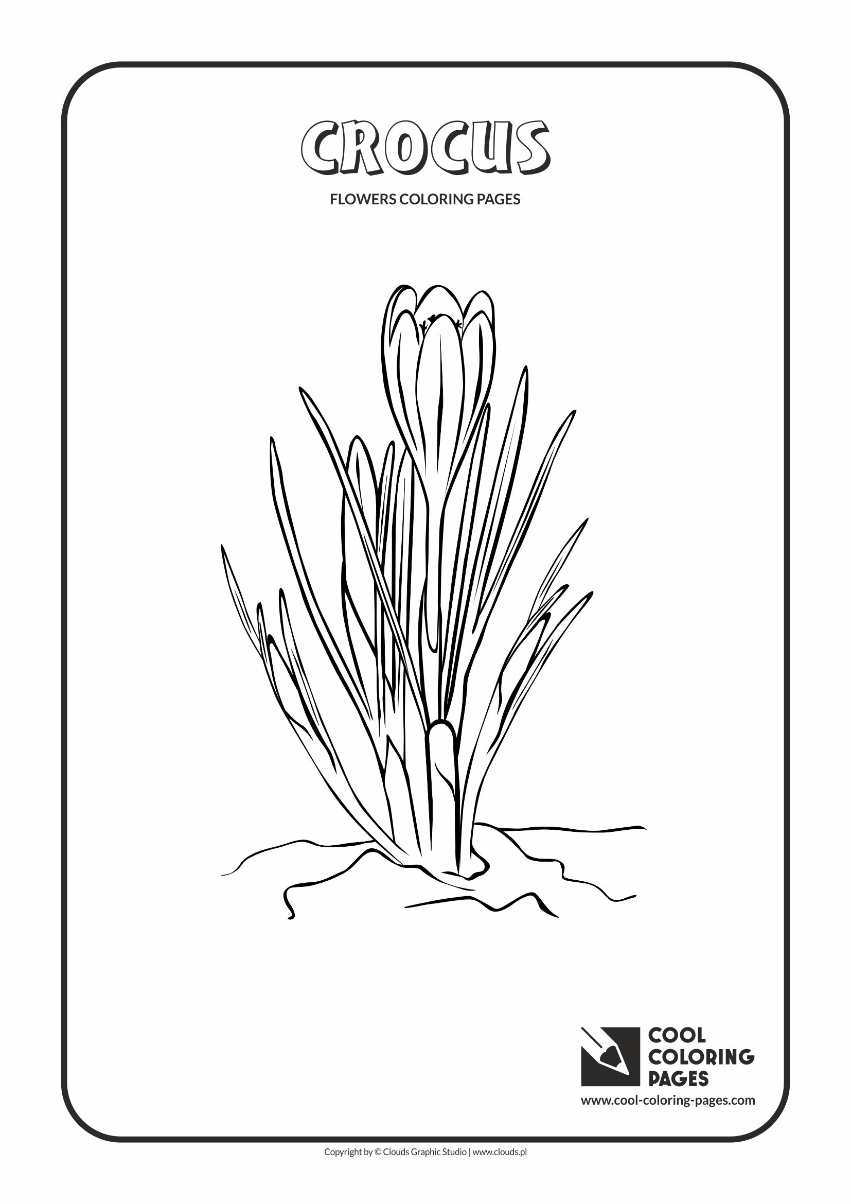 Cool Coloring Pages - Plants / Crocus / Coloring page with crocus