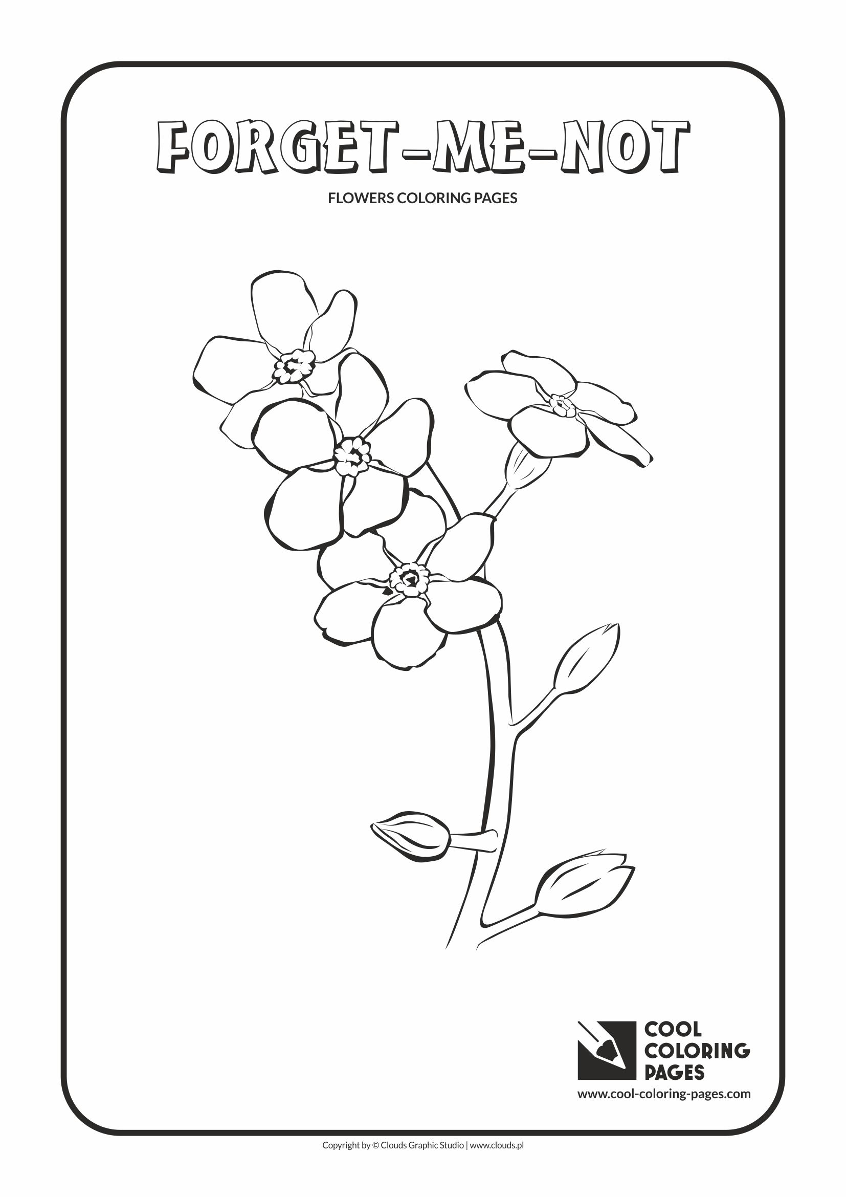 Cool Coloring Pages - Plants / Forget-me-not / Coloring page with forget-me-not