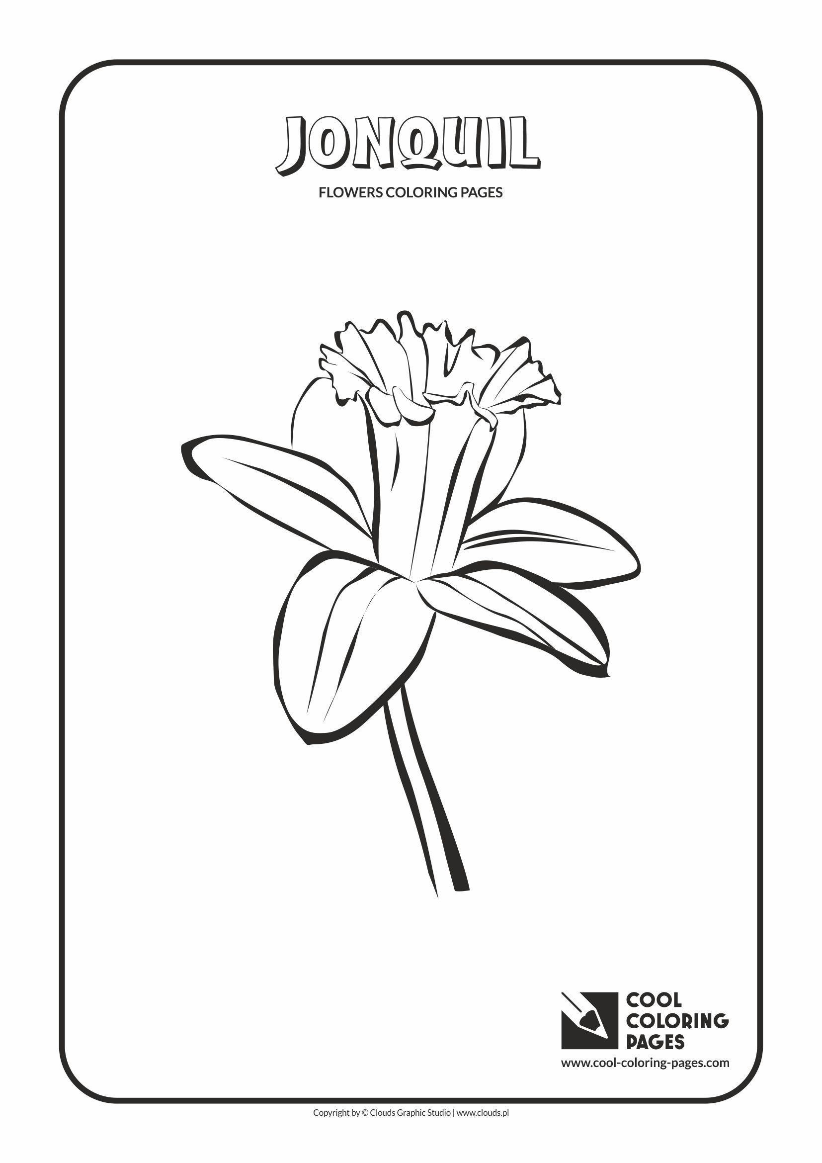 Cool Coloring Pages - Plants / Jonquil / Coloring page with jonquil