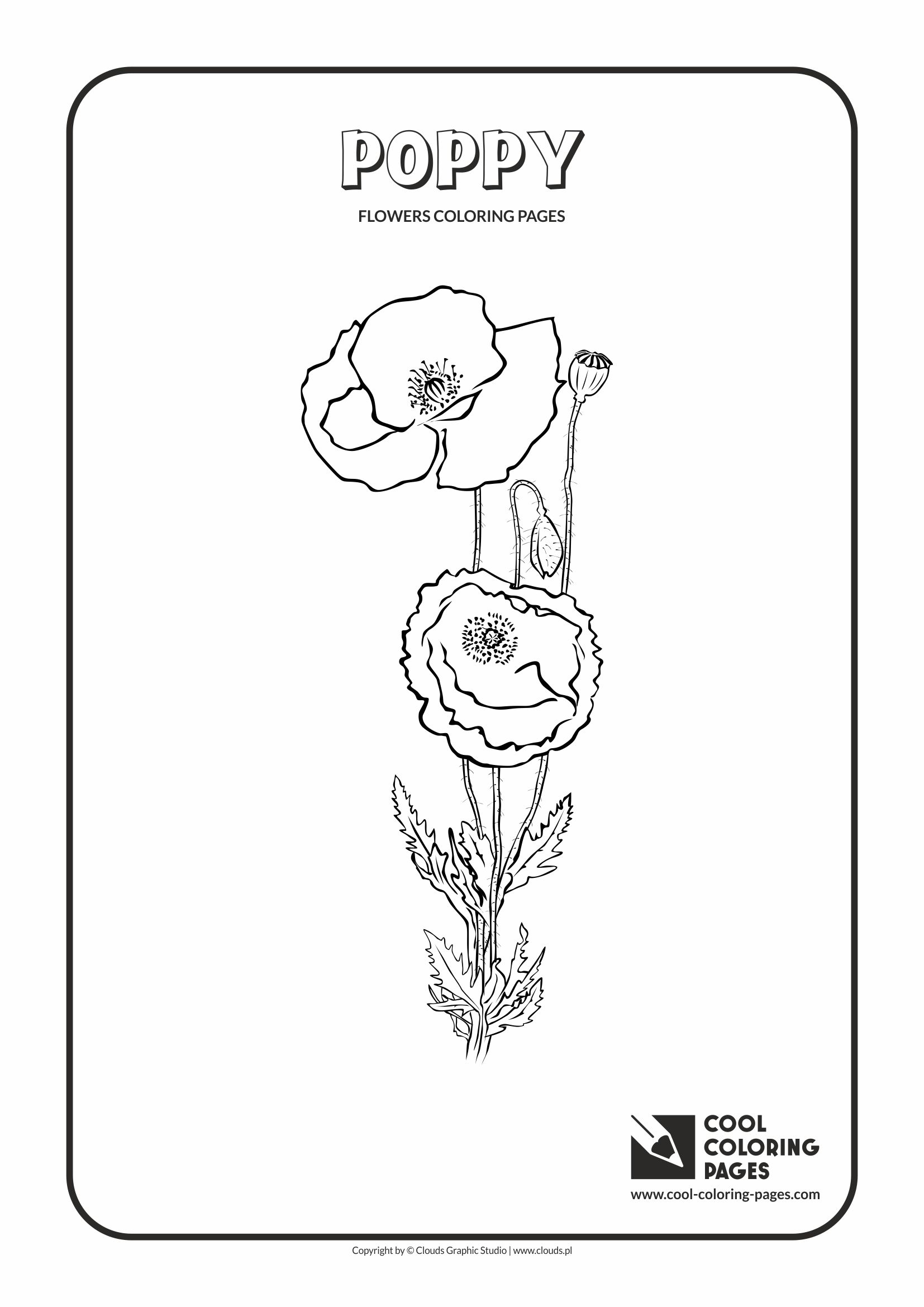 Cool Coloring Pages - Plants / Poppy / Coloring page with poppy