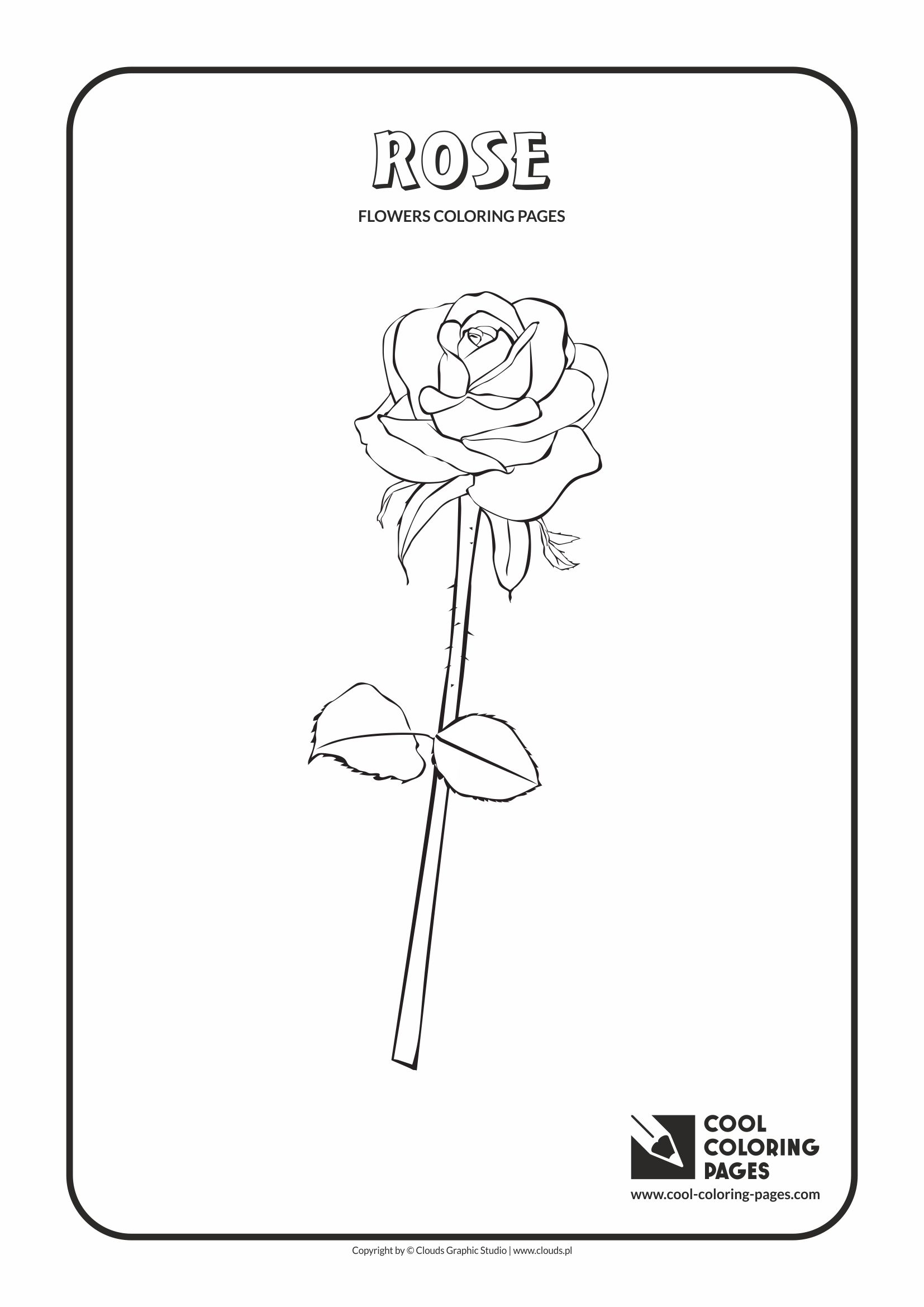 Cool Coloring Pages - Plants / Rose / Coloring page with rose