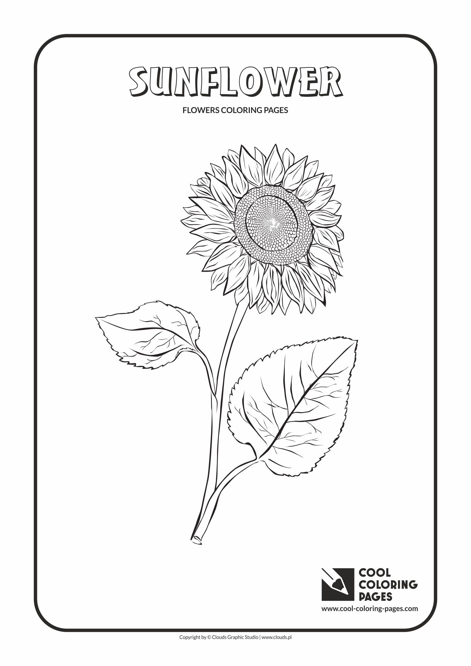 Cool Coloring Pages Flowers coloring pages - Cool Coloring Pages | Free