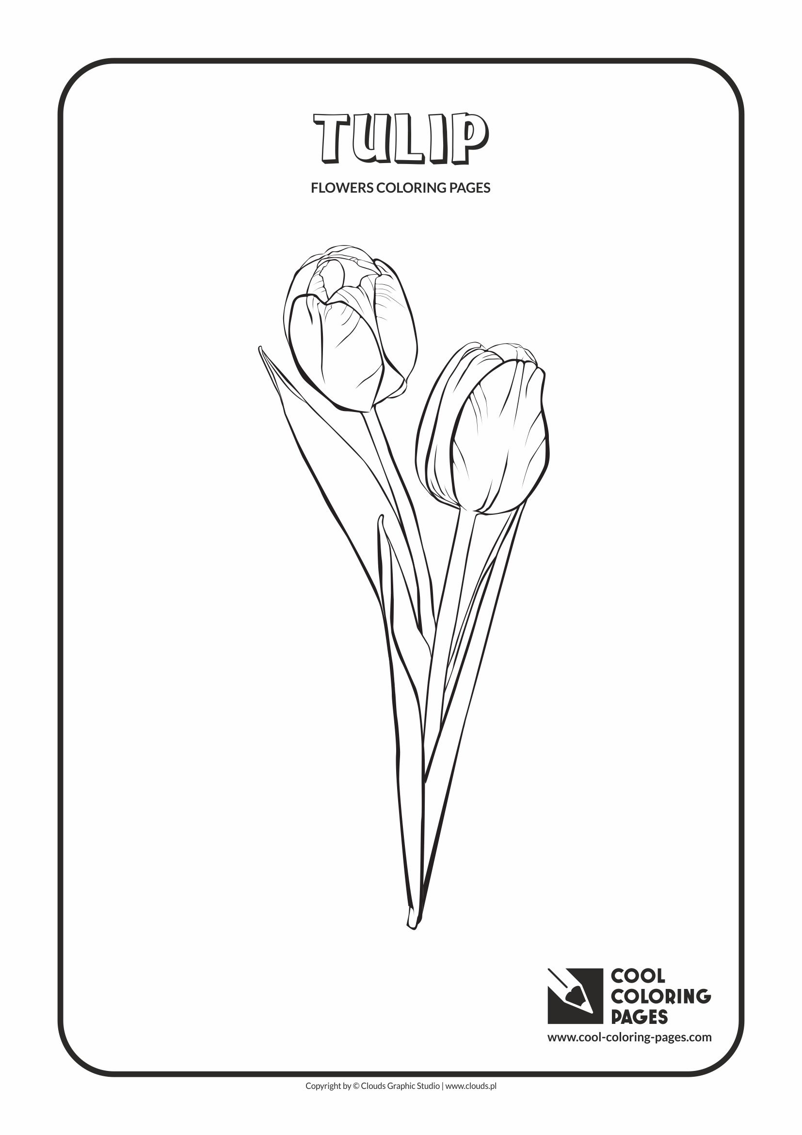 Cool Coloring Pages - Plants / Tulip / Coloring page with tulip