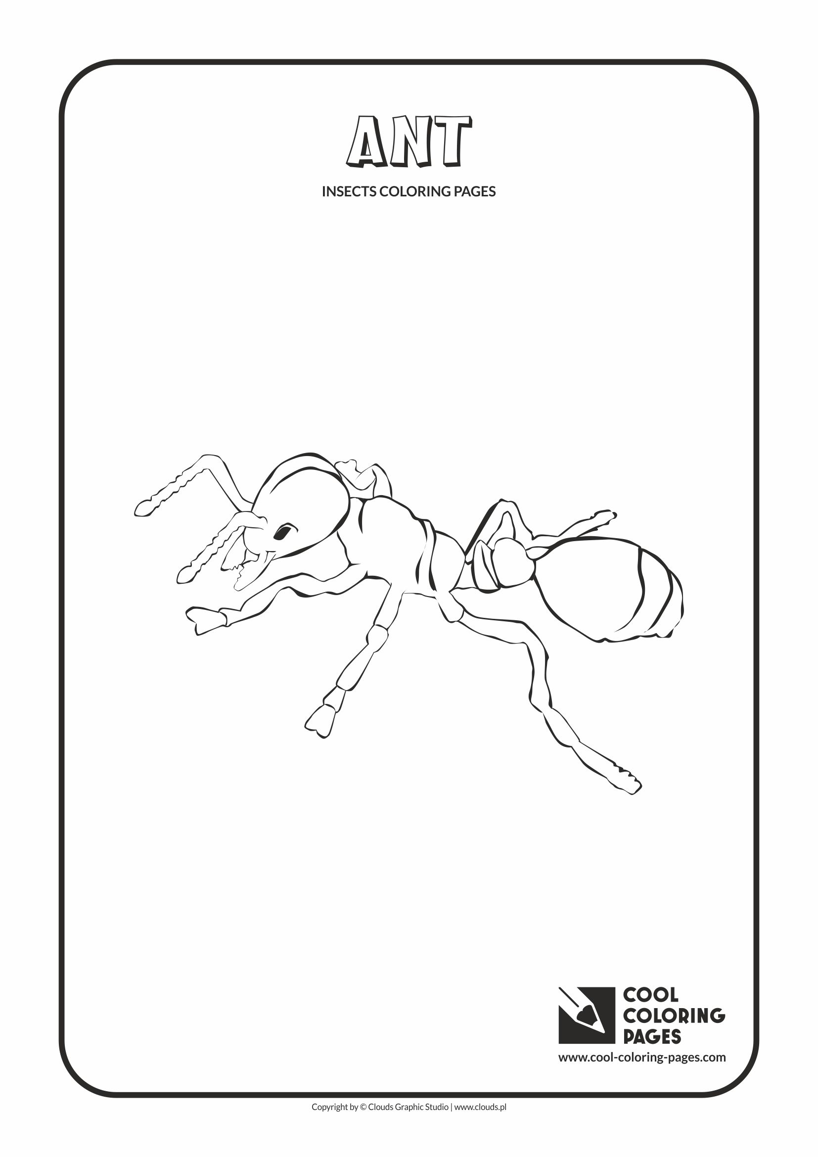 Cool Coloring Pages - Animals / Ant / Coloring page with ant