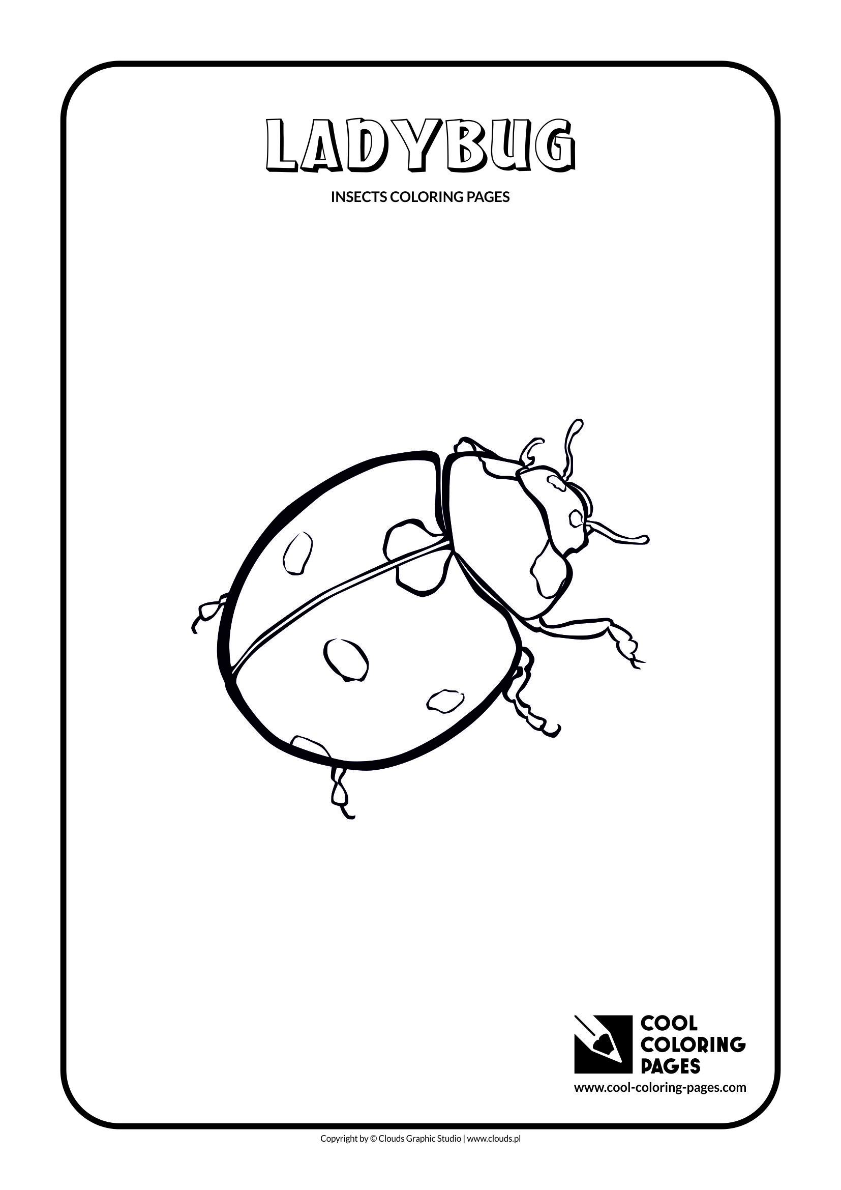 Cool Coloring Pages - Animals / Ladybug / Coloring page with ladybug