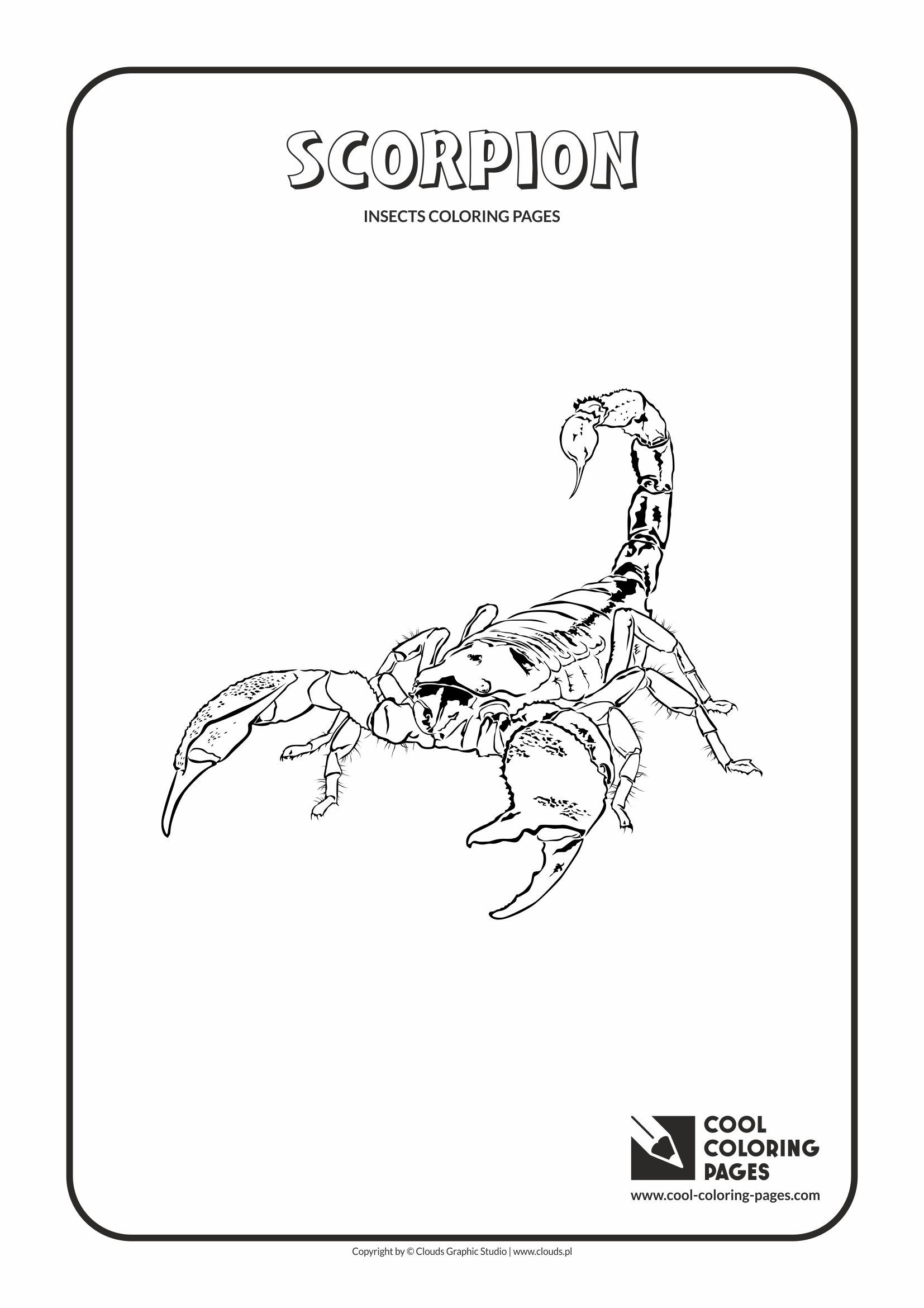 Cool Coloring Pages - Animals / Scorpion / Coloring page with scorpion