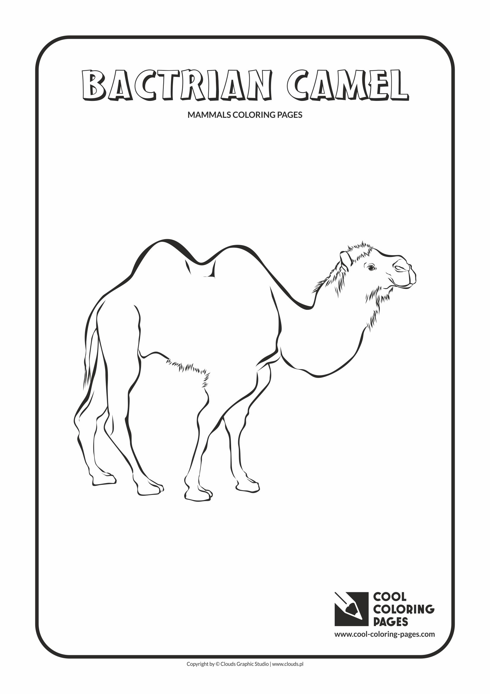 Cool Coloring Pages - Animals / Camel / Coloring page with camel