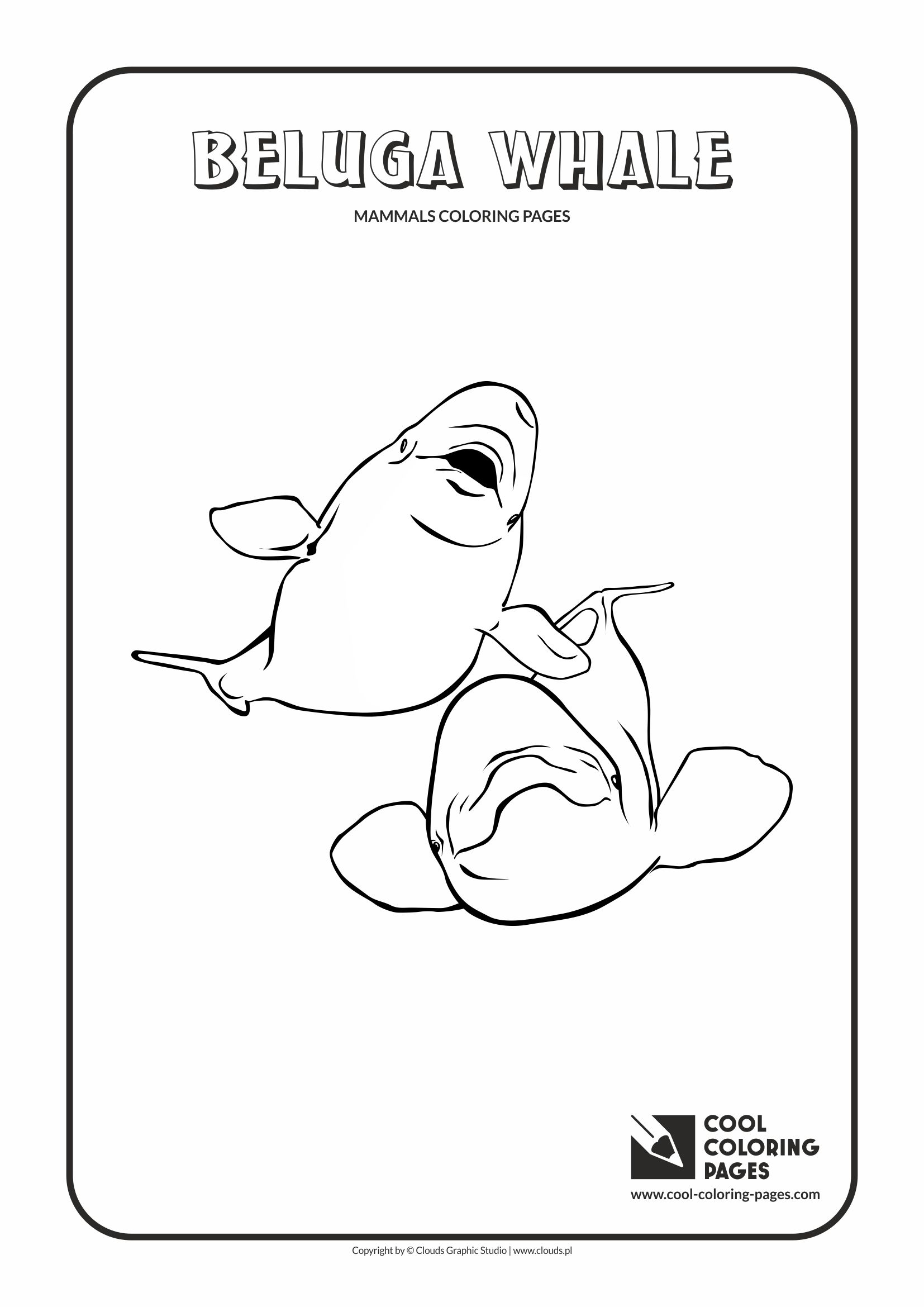 Cool Coloring Pages - Animals / Beluga whale / Coloring page with beluga whale