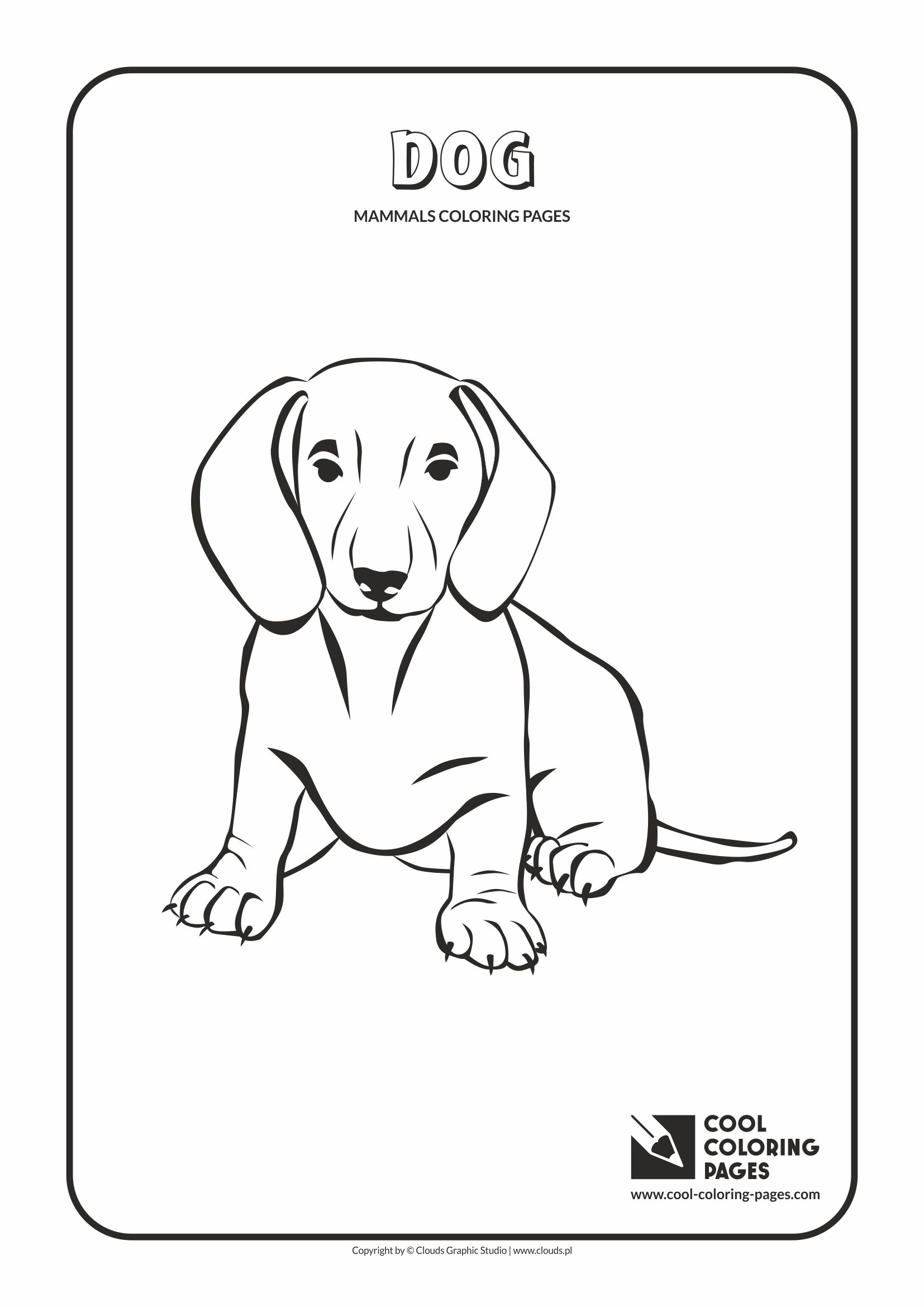 Cool Coloring Pages - Animals / Mammals. Coloring with dog