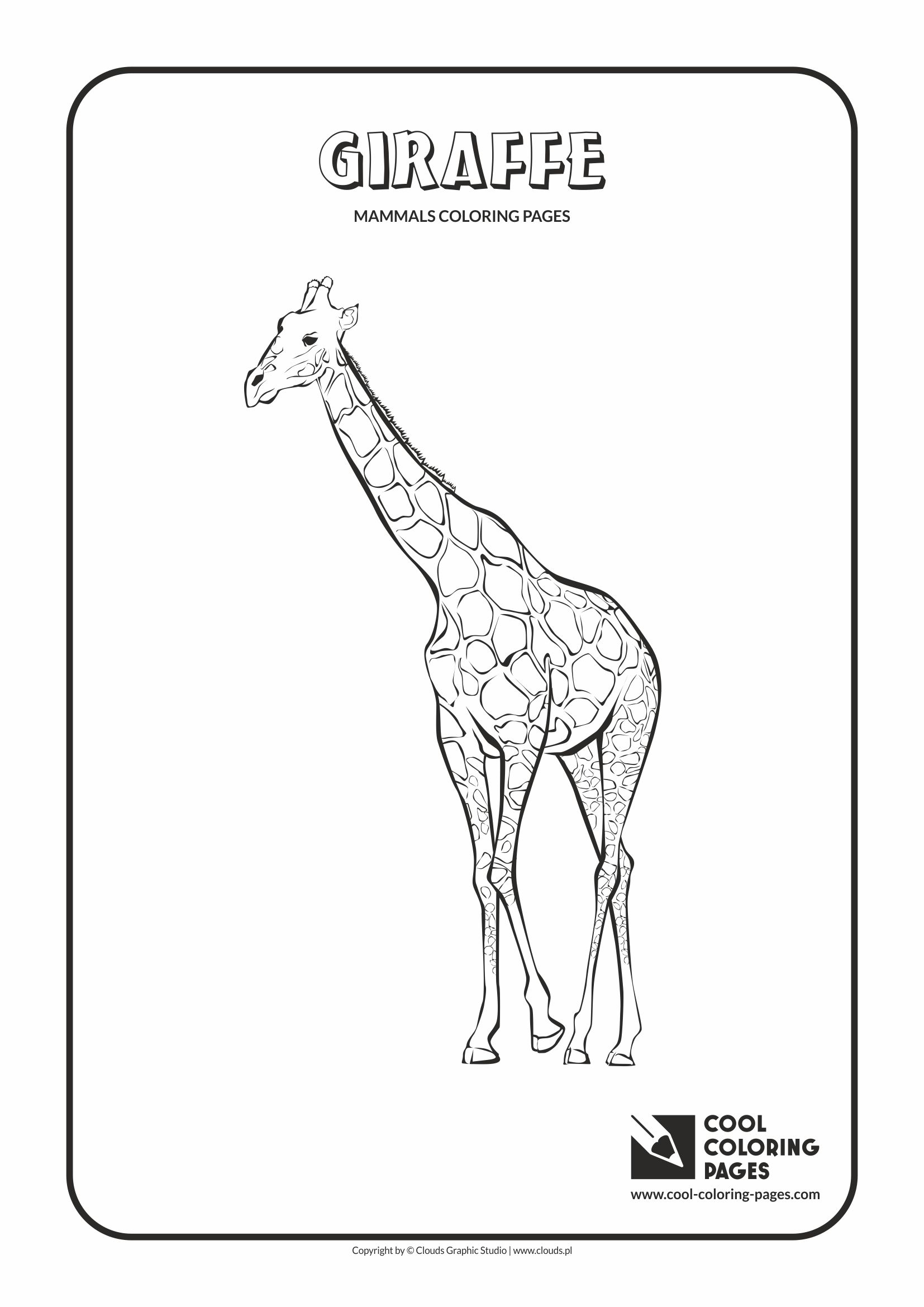 Cool Coloring Pages - Animals / Giraffe / Coloring page with giraffe