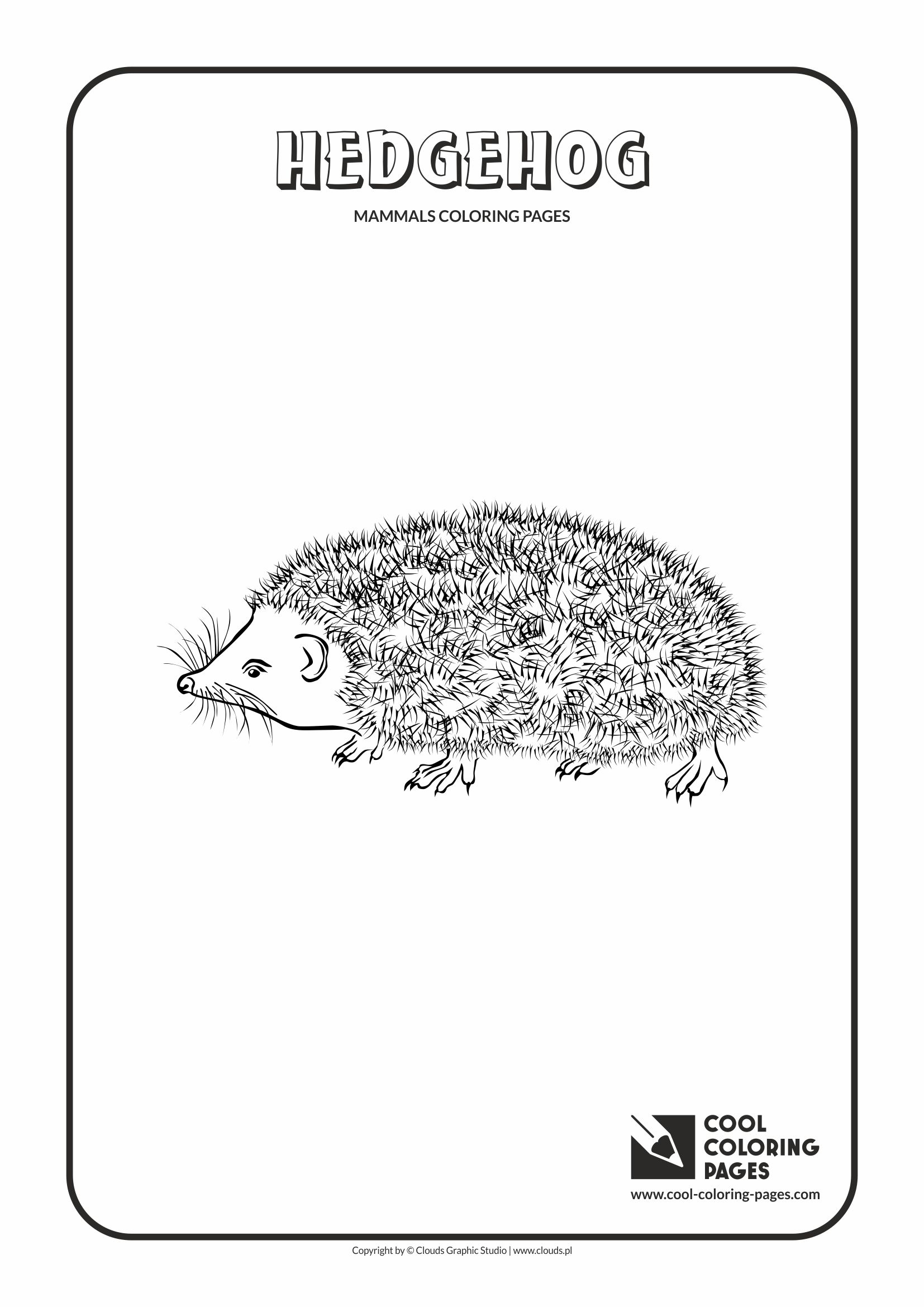 Cool Coloring Pages - Animals / Hedgehog / Coloring page with hedgehog