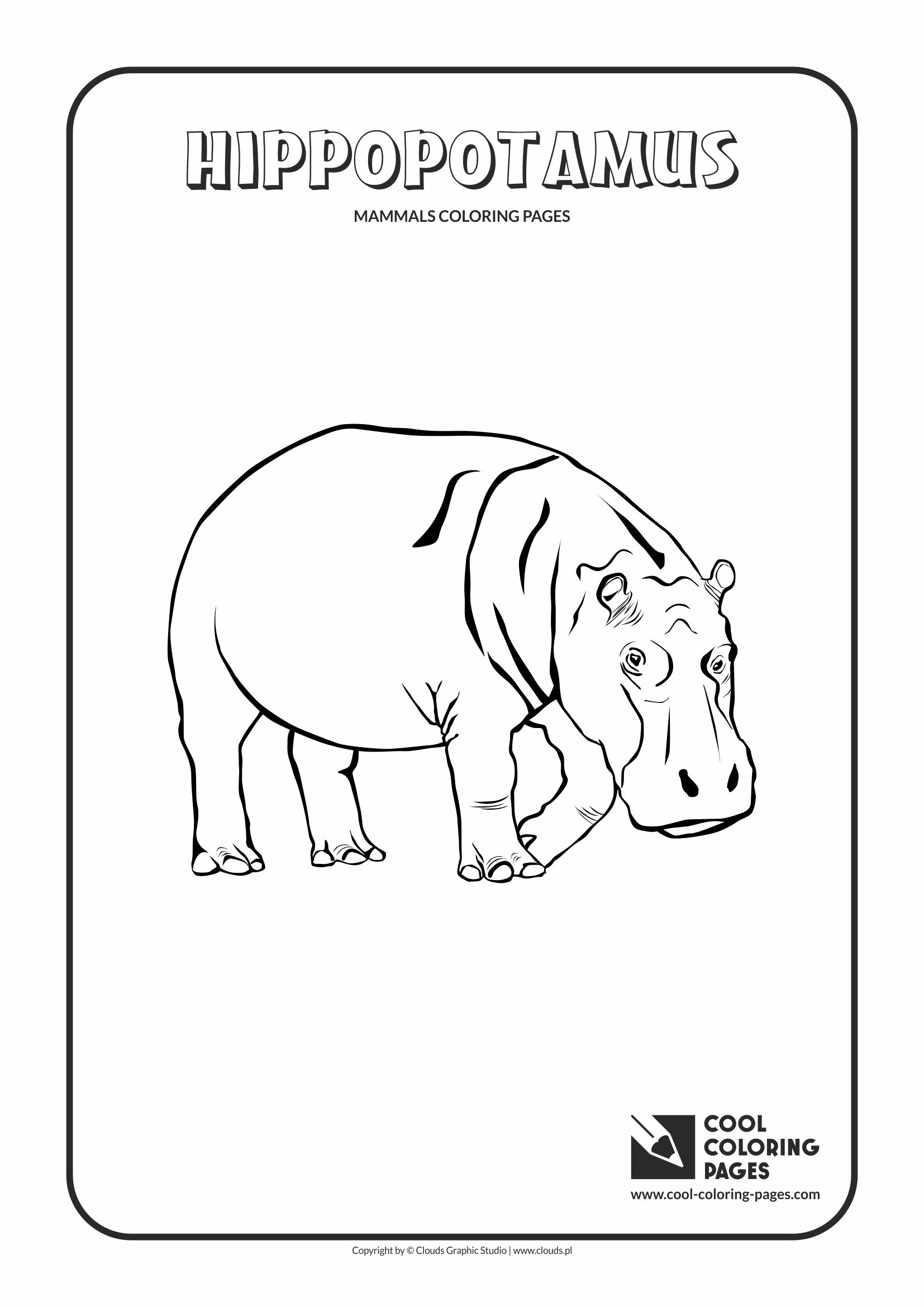 Cool Coloring Pages - Animals / Hippopotamus / Coloring page with hippopotamus