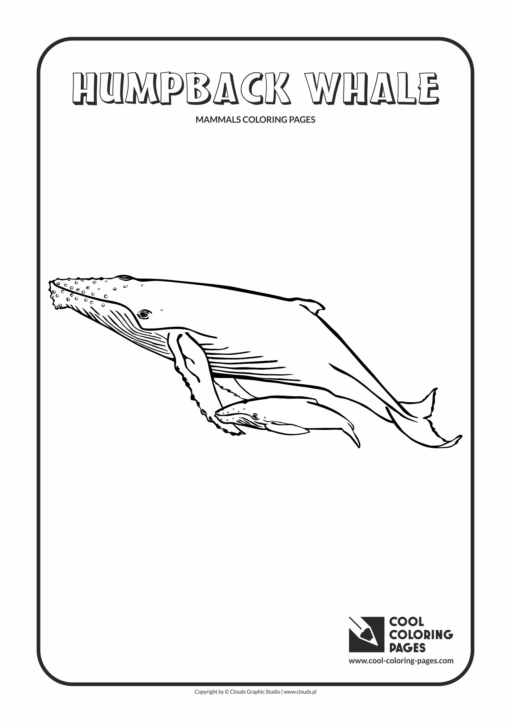 Coloring Whale Humpback Pages Whales Outline Animals Ocean Sheets ...