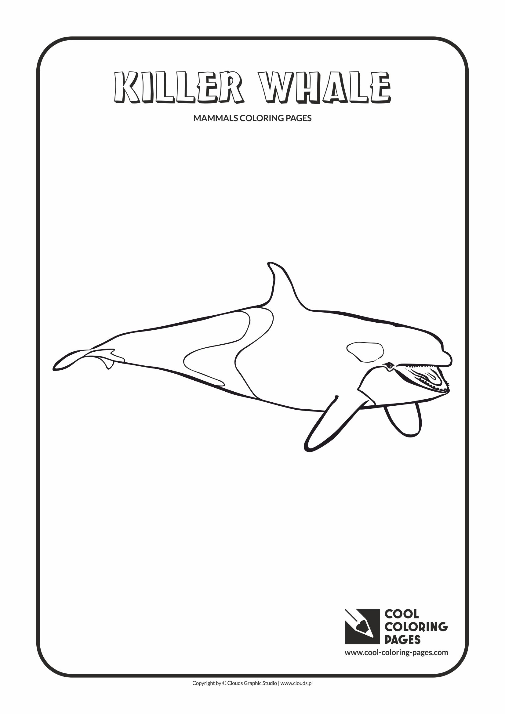 Cool Coloring Pages - Animals / Killer whale orca / Coloring page with killer whale orca