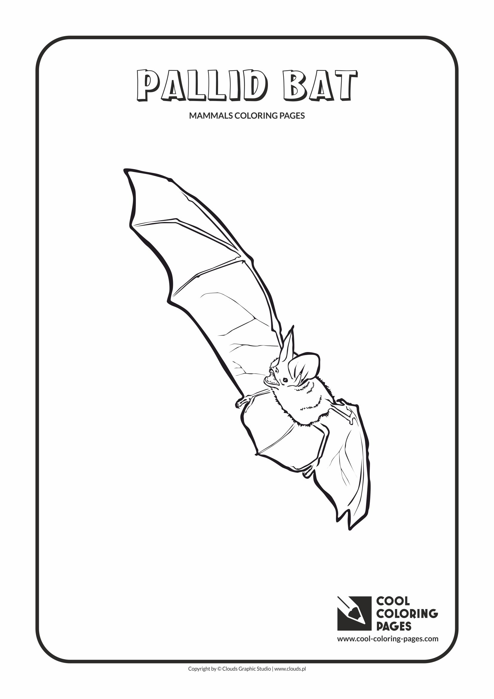 Cool Coloring Pages - Animals / Pallid bat / Coloring page with pallid bat