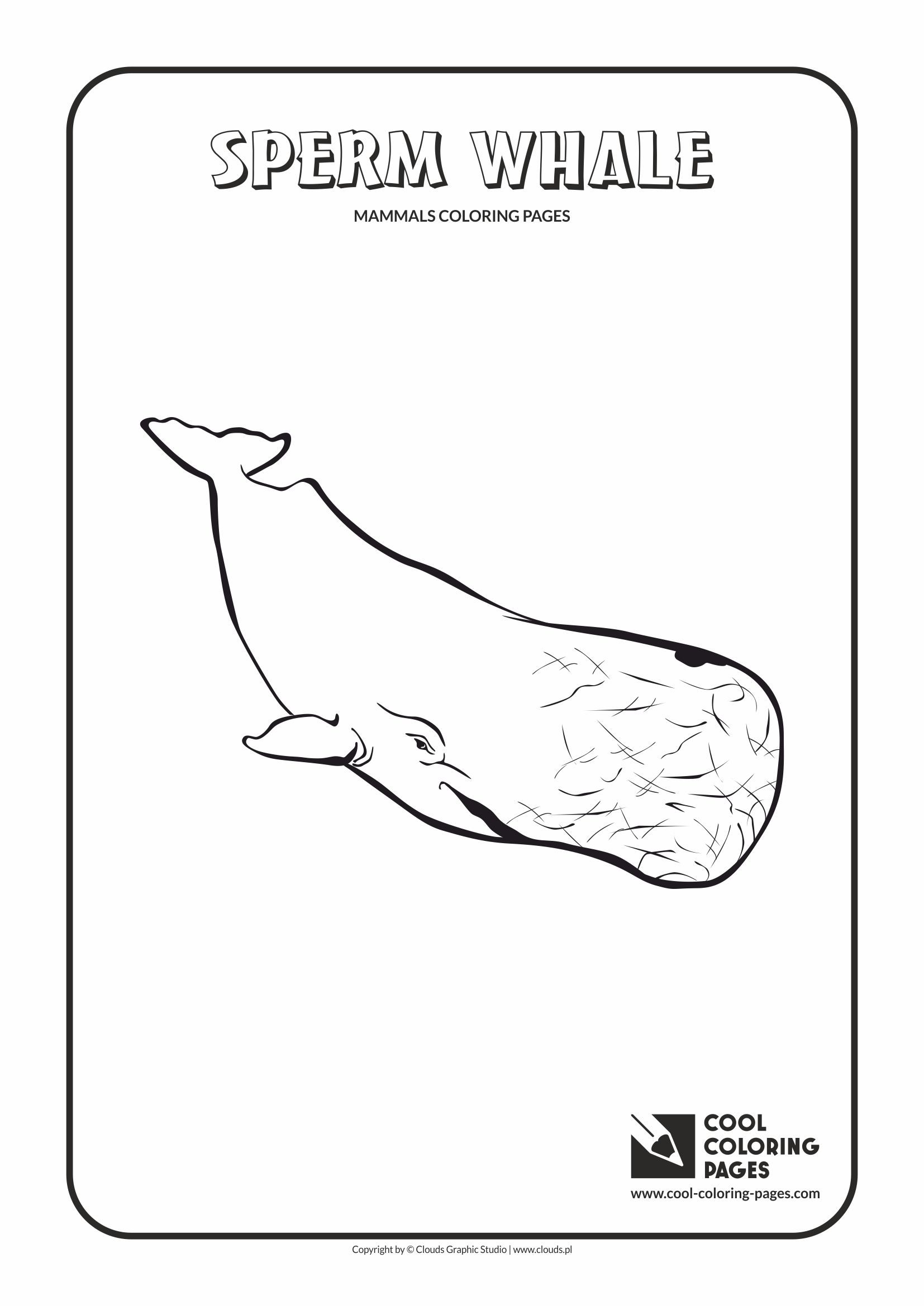 Cool Coloring Pages - Animals / Sperm whale / Coloring page with sperm whale