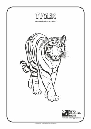 Cool Coloring Pages - Animals / Tiger / Coloring page with tiger