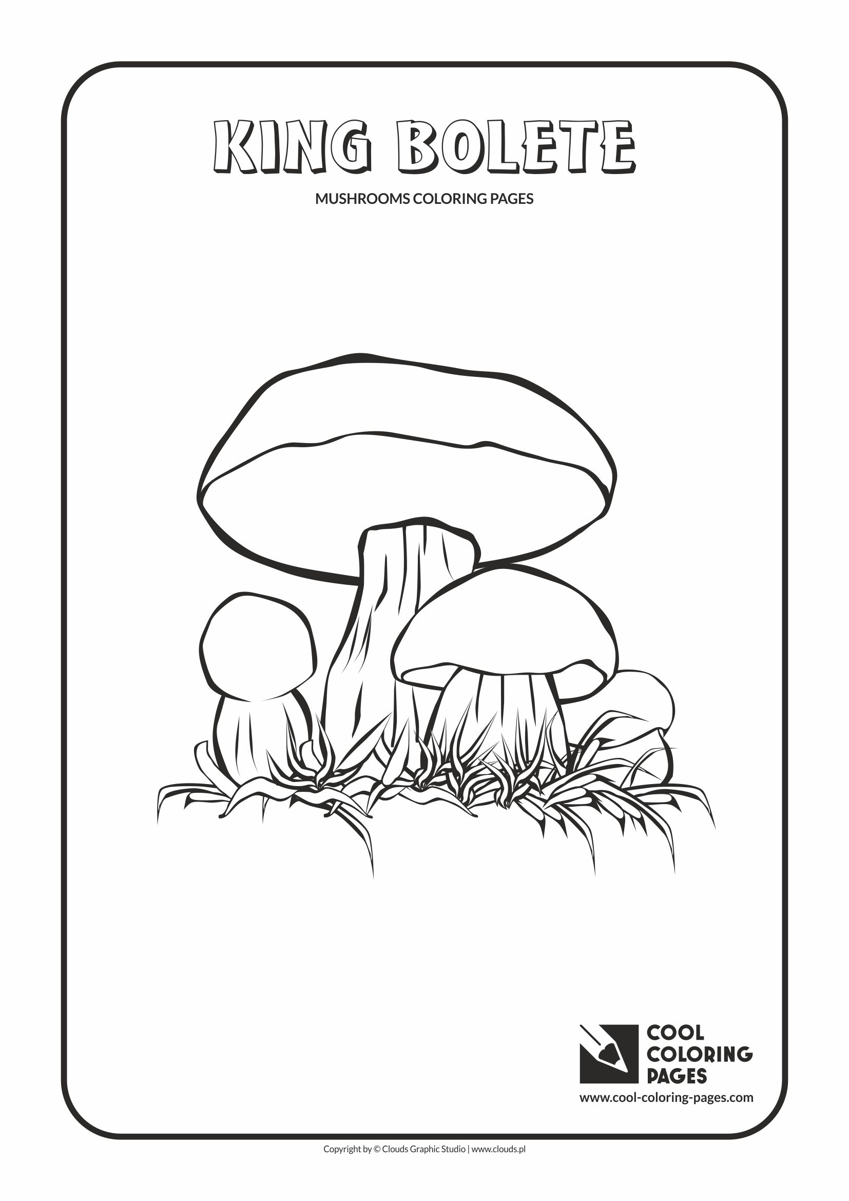 Cool Coloring Pages - Mushrooms / King bolete / Coloring page with king bolete