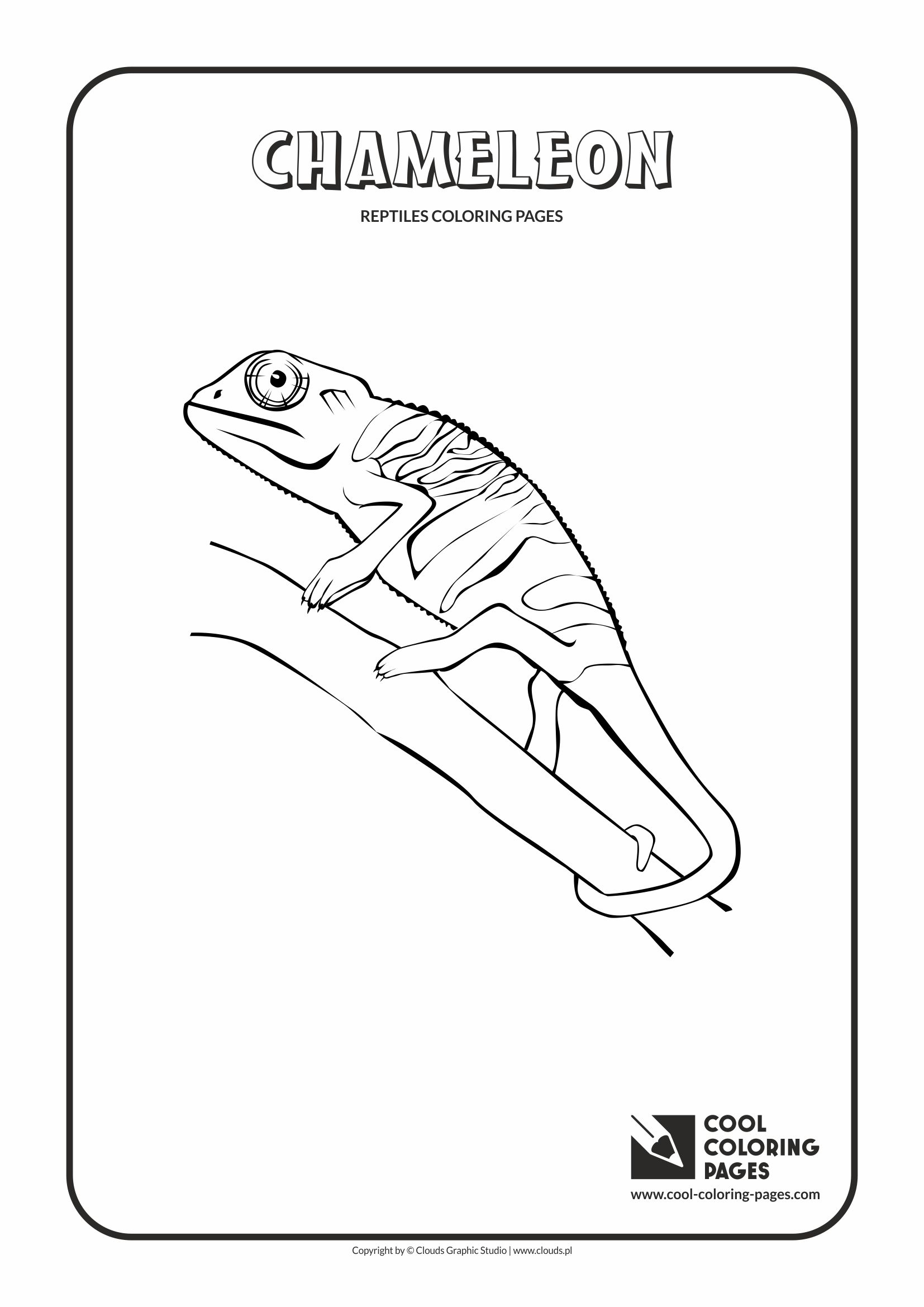 Cool Coloring Pages - Animals / Chameleon / Coloring page with chameleon