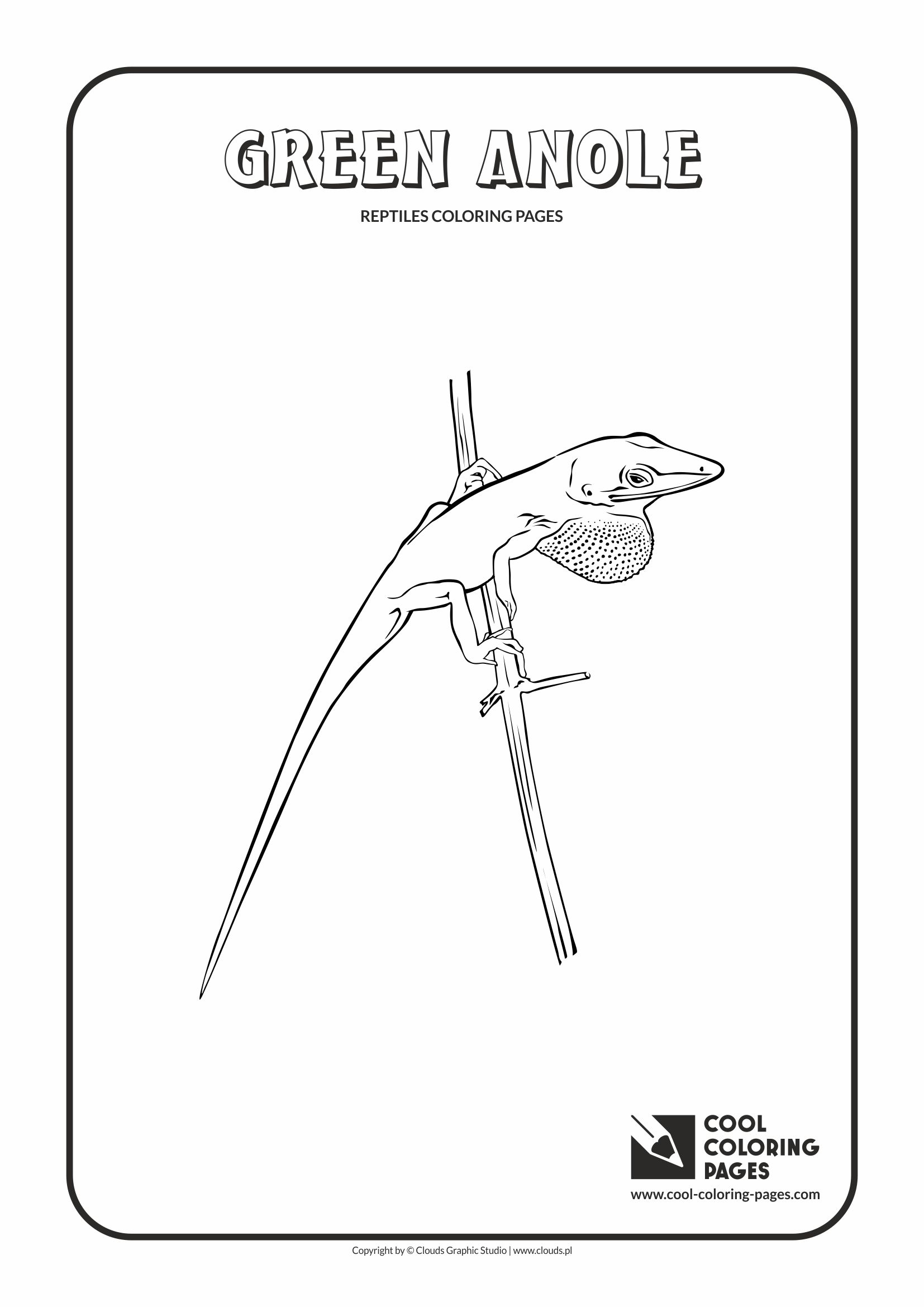 Cool Coloring Pages - Animals / Green anole / Coloring page with green anole