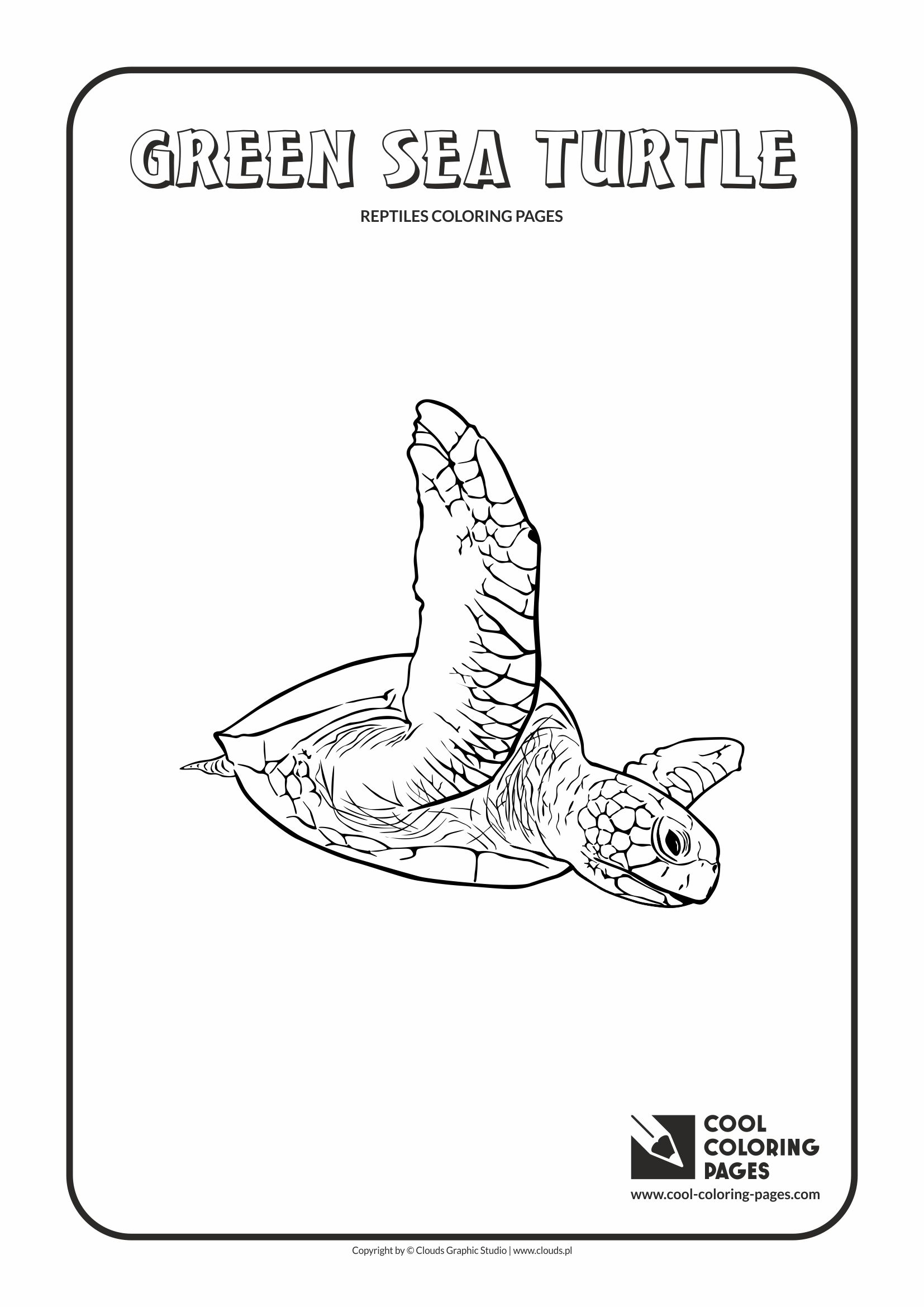 Cool Coloring Pages - Animals / Green sea turtle / Coloring page with green sea turtle