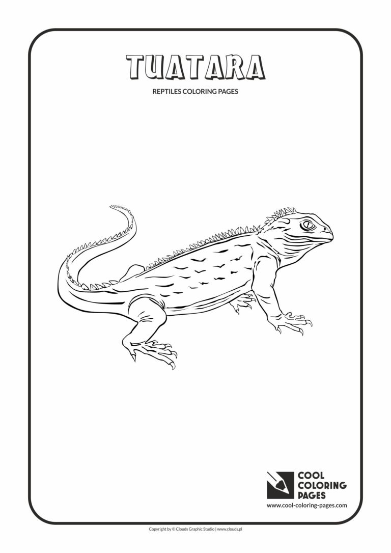 Utatsusaurus Color Pages Cool Coloring Pages Tuatara coloring page - Cool Coloring Pages | Free ...