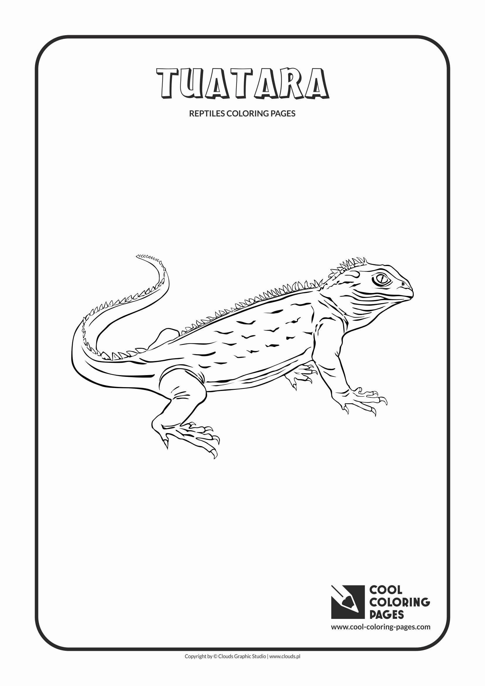Cool Coloring Pages - Animals / Tuatara / Coloring page with tuatara