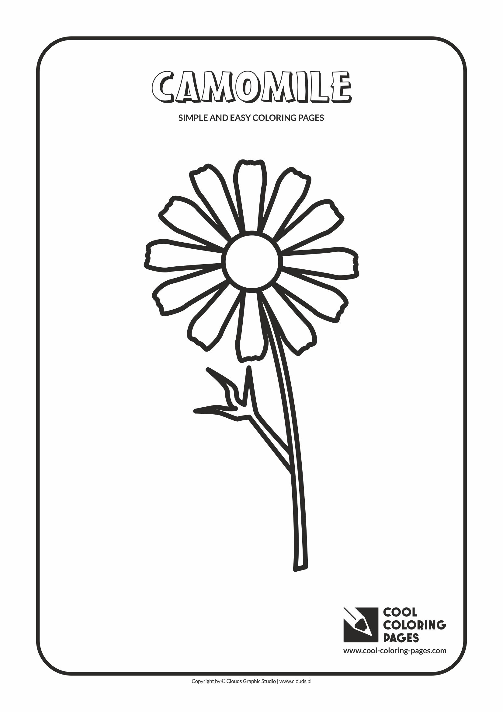 Simple and easy coloring pages for toddlers - Camomile